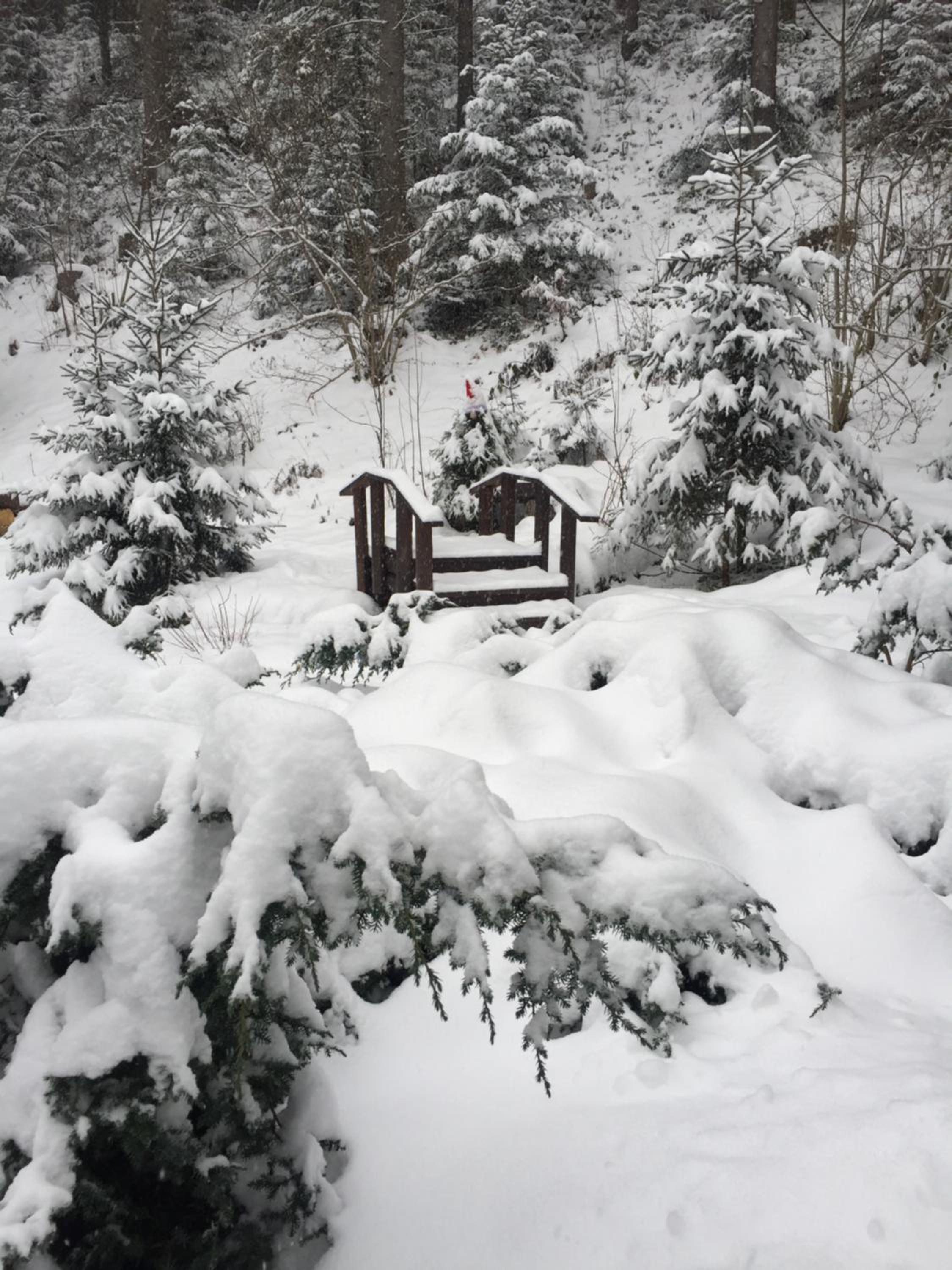 Vacation Home photo 2