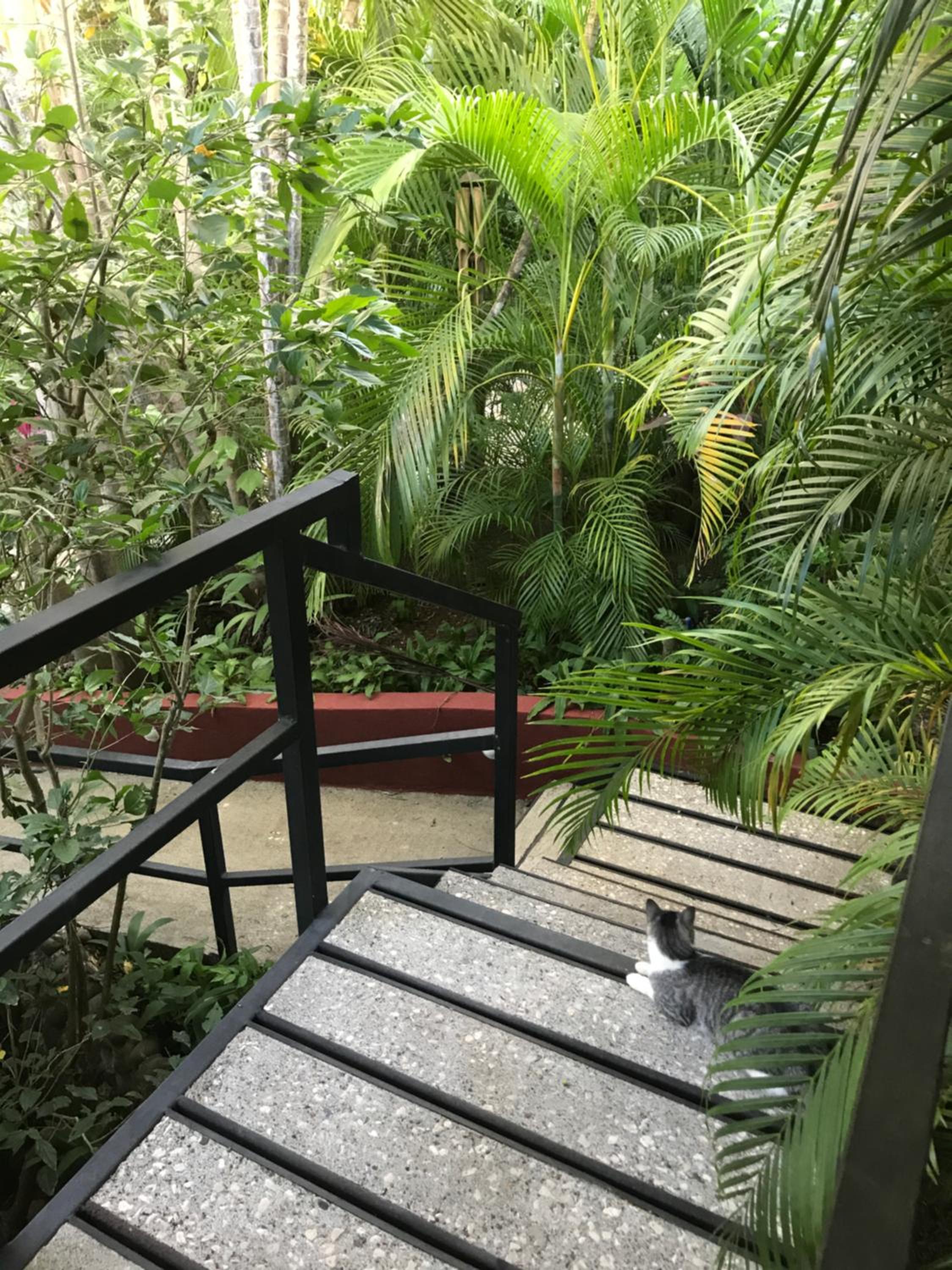 Standard Garden View Room photo 2