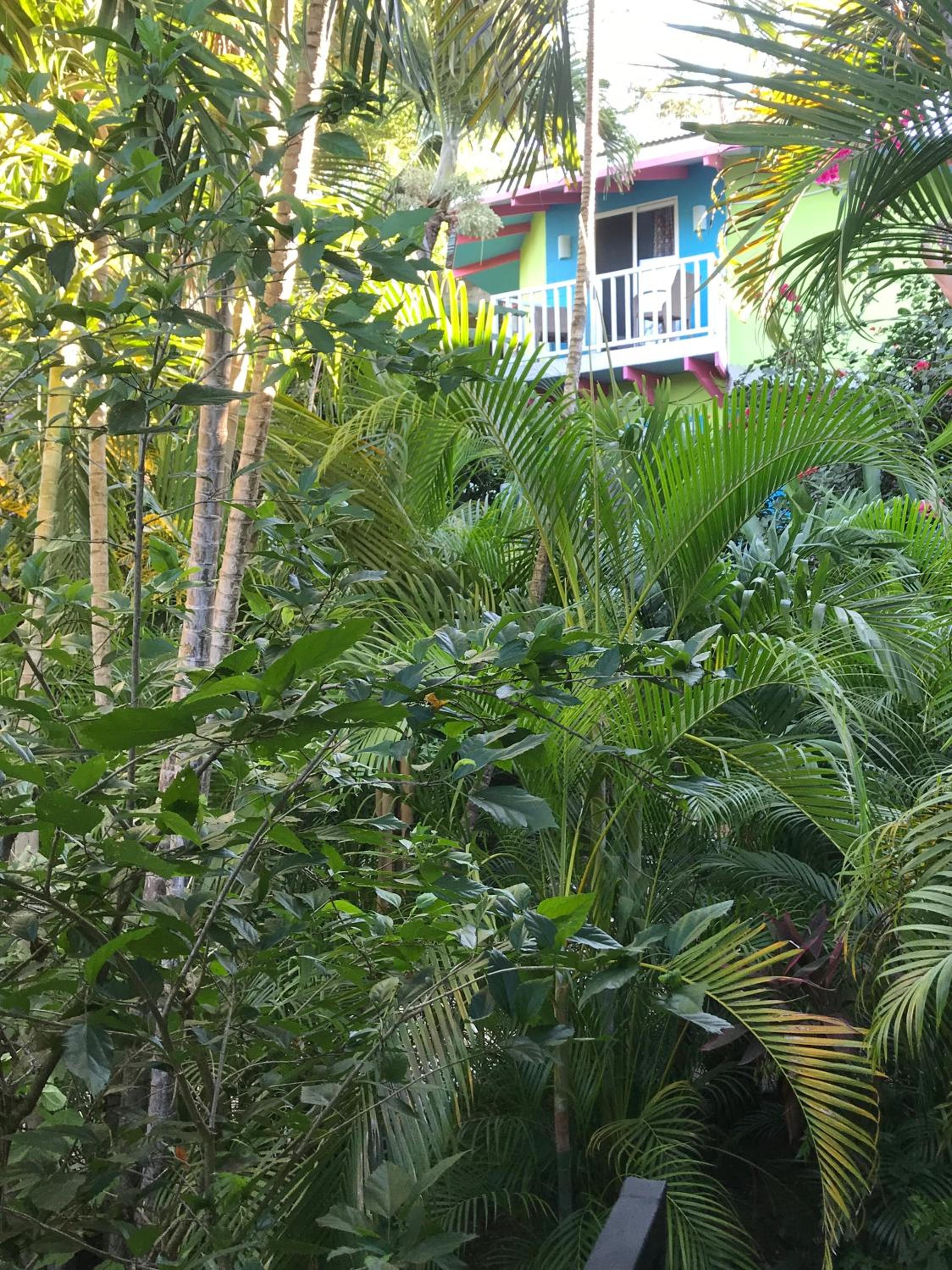 Single Bedroom - Pool View photo 1