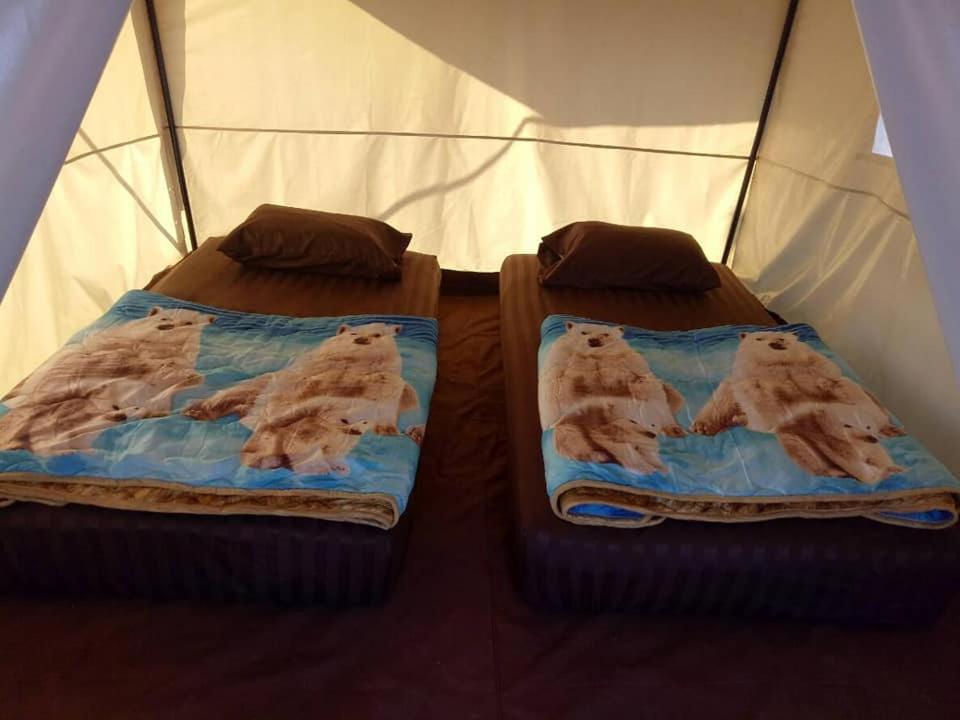 Standard Twin Room - Photo 4