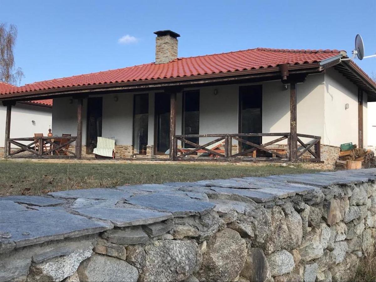 Superior Villa photo 2