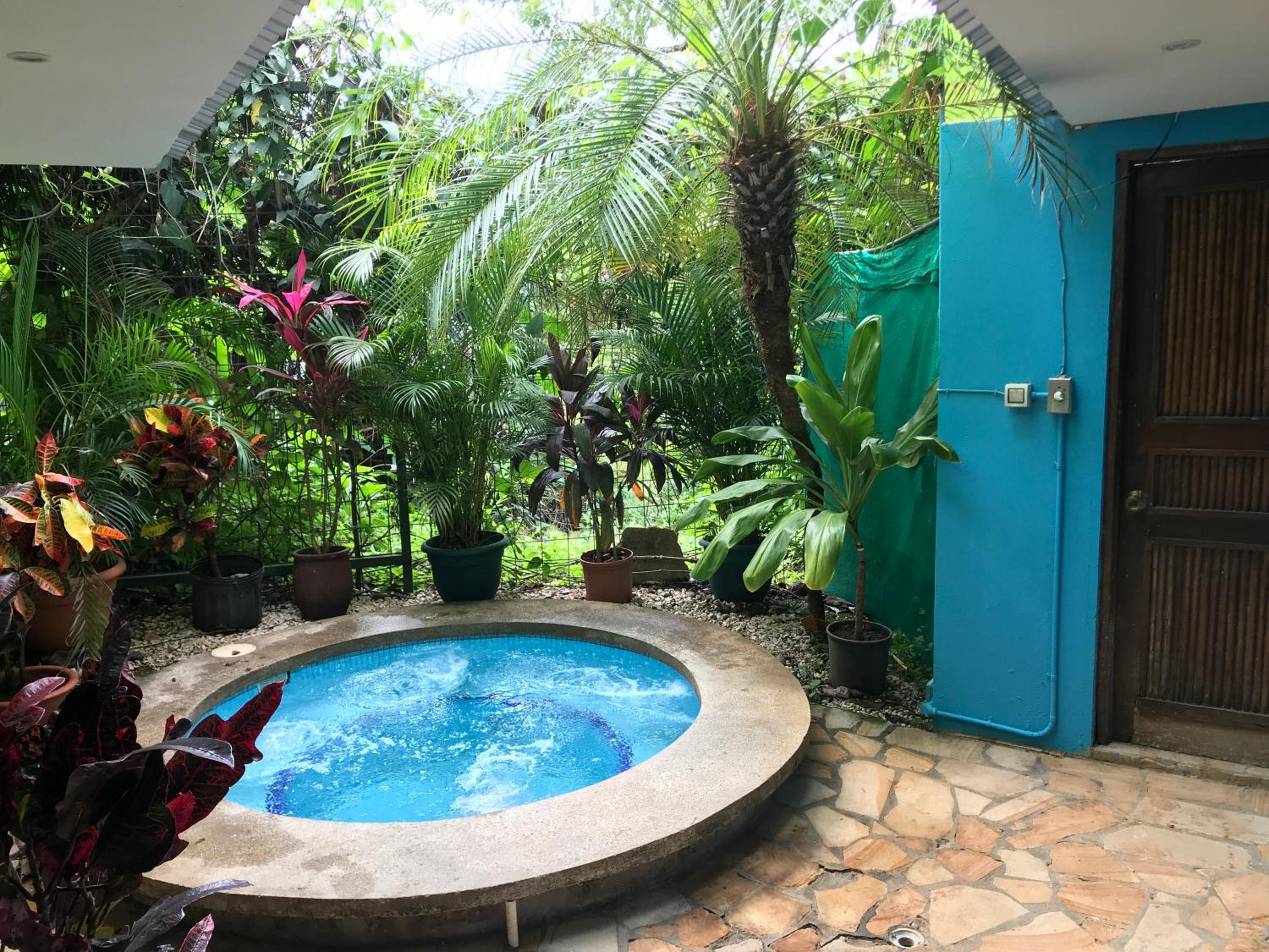 Deluxe One-Bedroom Bungalow with Jacuzzi Pool photo 2