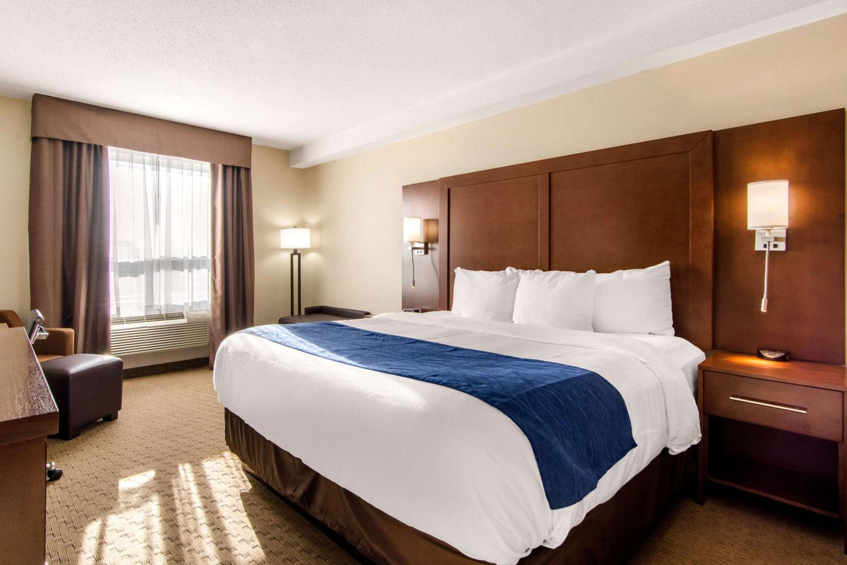 King Room - Non-Smoking - Photo 5