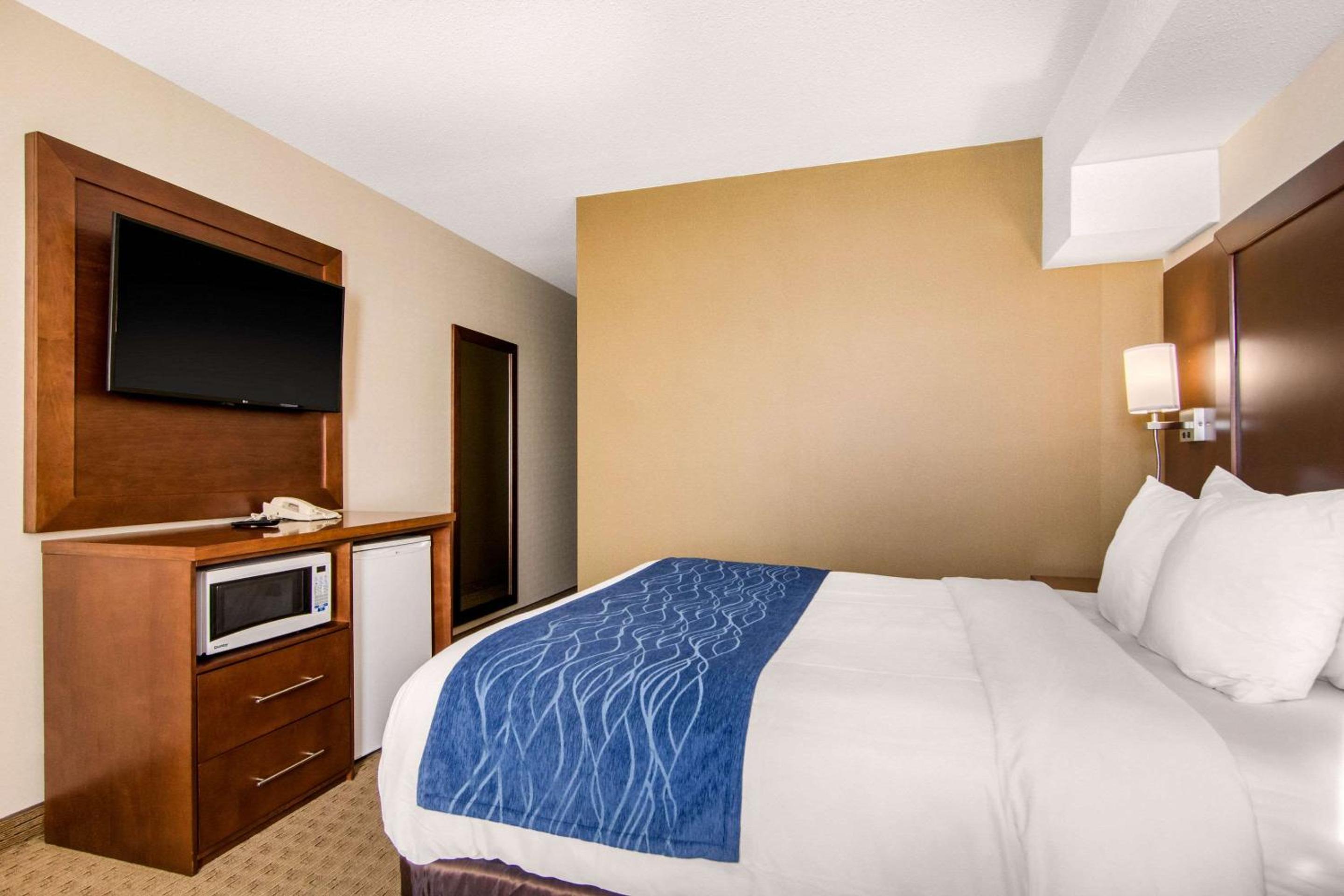 Queen Room - Non-Smoking - Photo 5