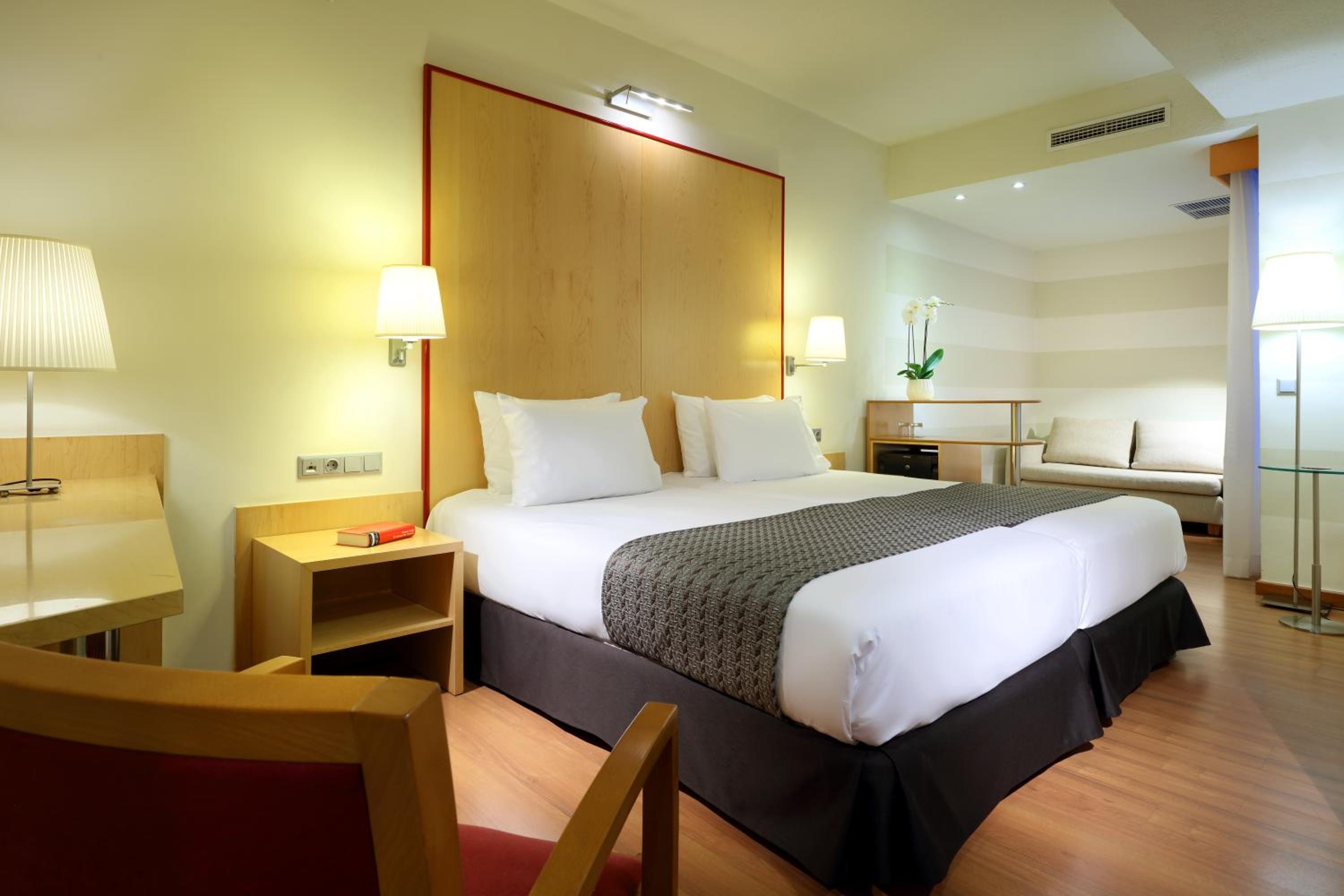 Double Room with Sofa Bed