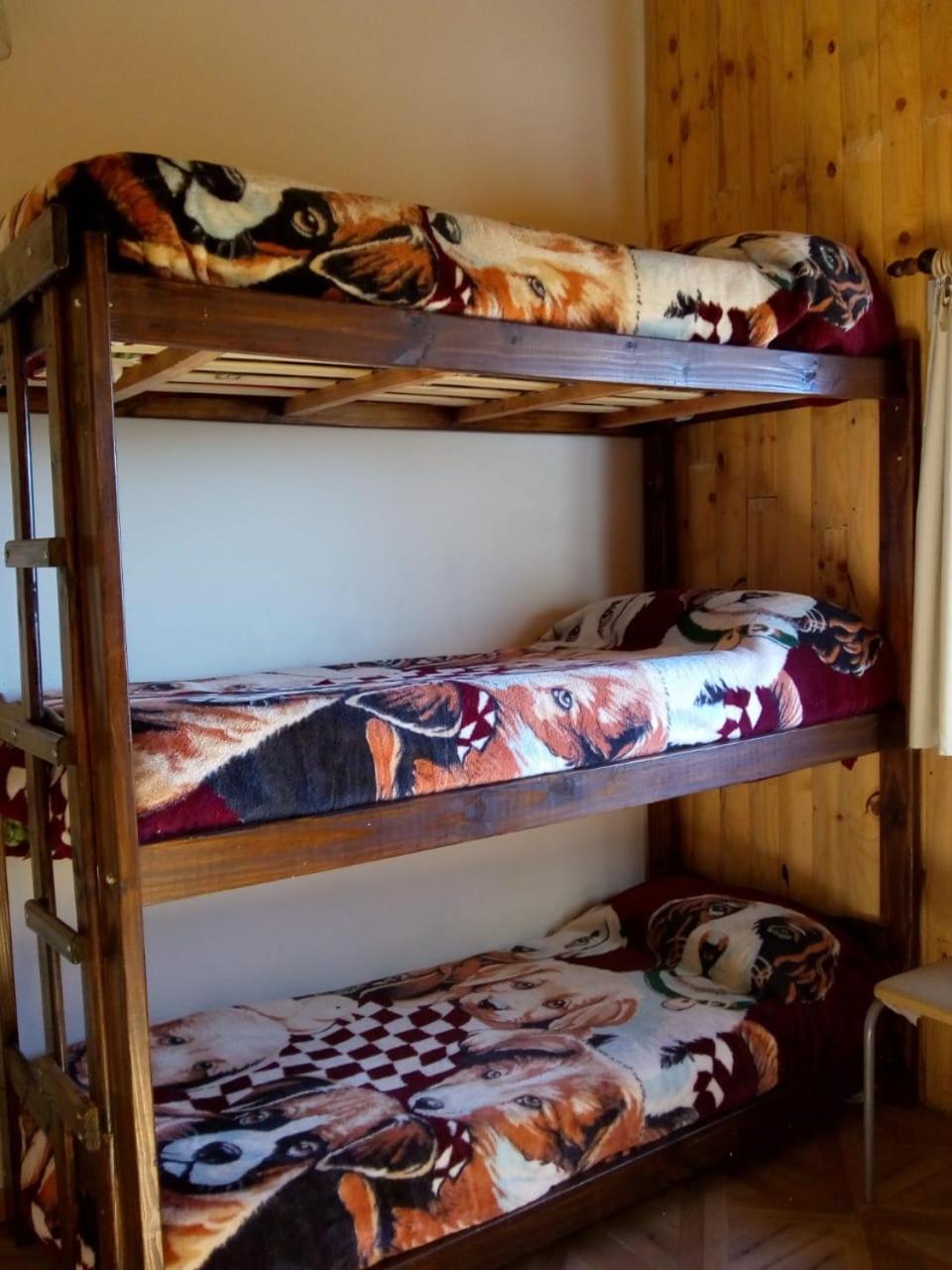 Bed in 4-Bed Mixed Dormitory Room photo 3
