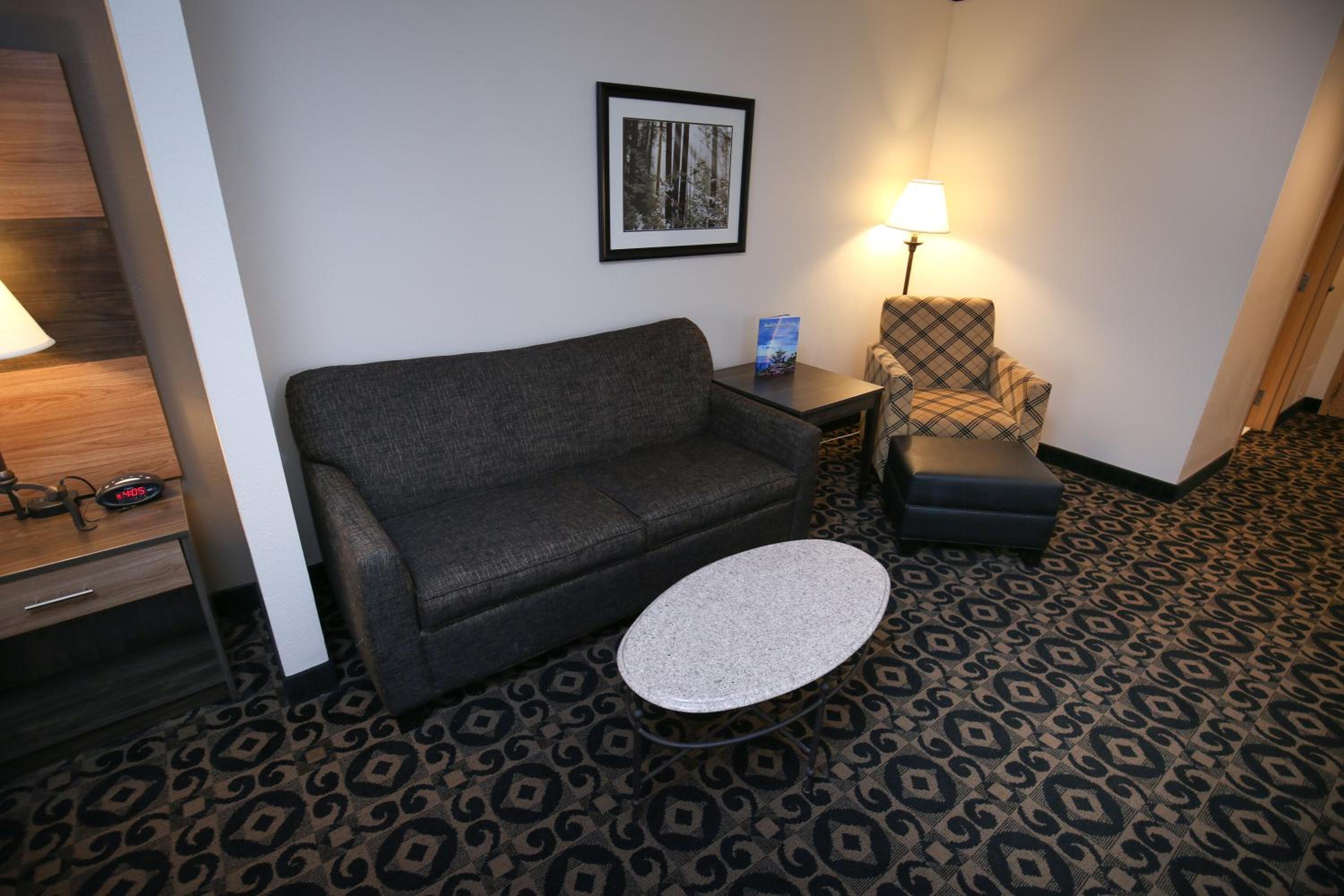 King Suite - Non Smoking - Photo 4