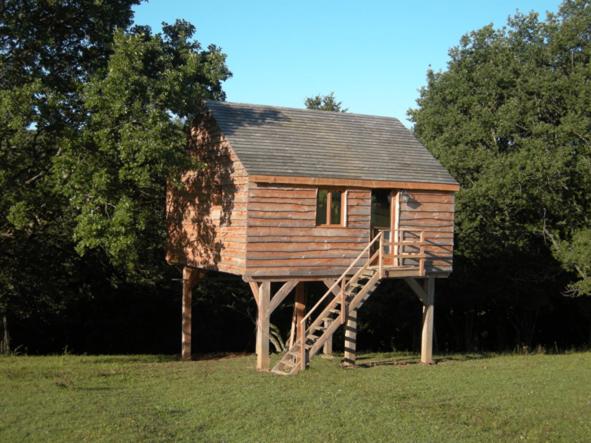 Family Tree House photo 2
