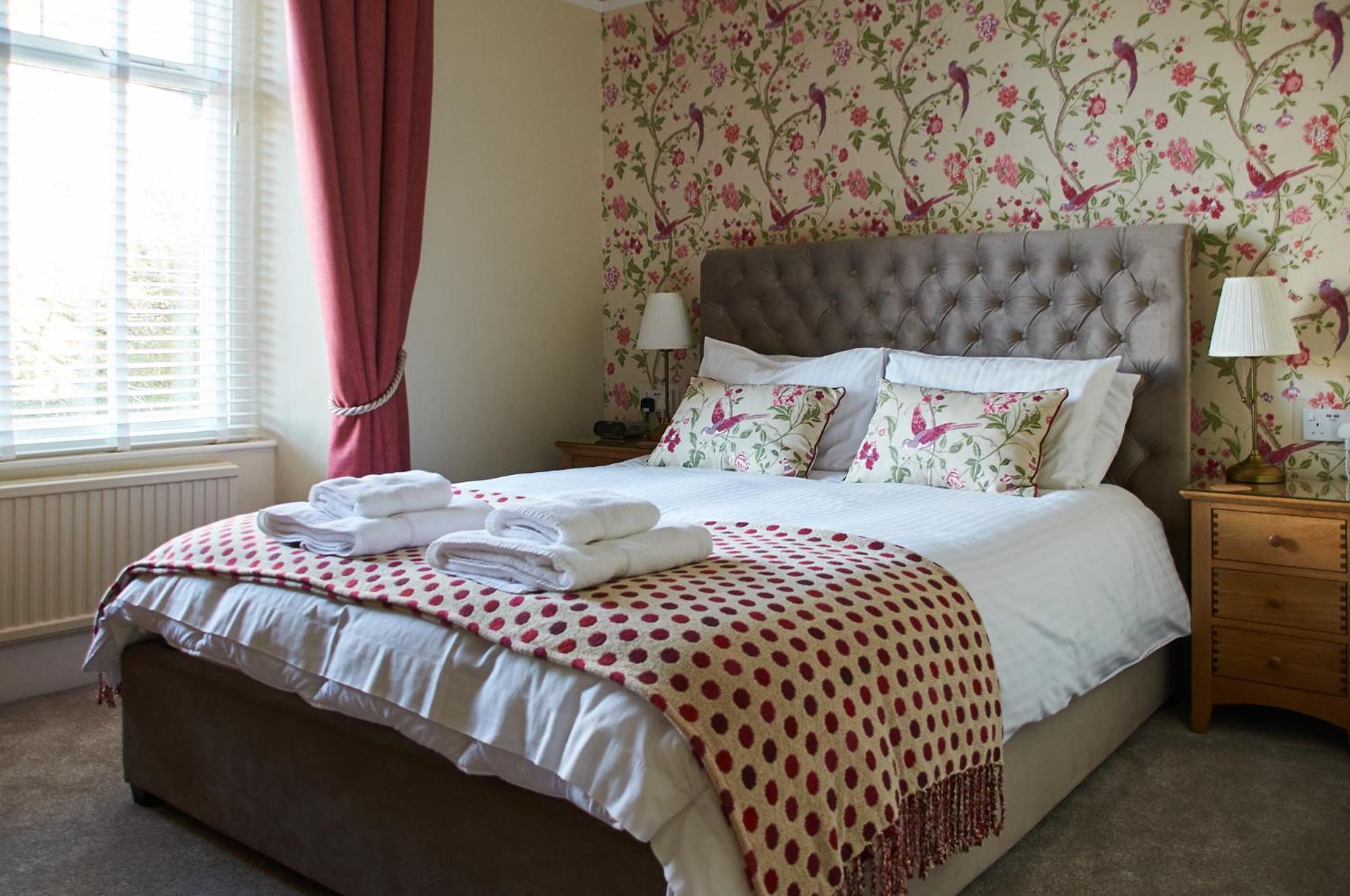Superior King Room photo 2