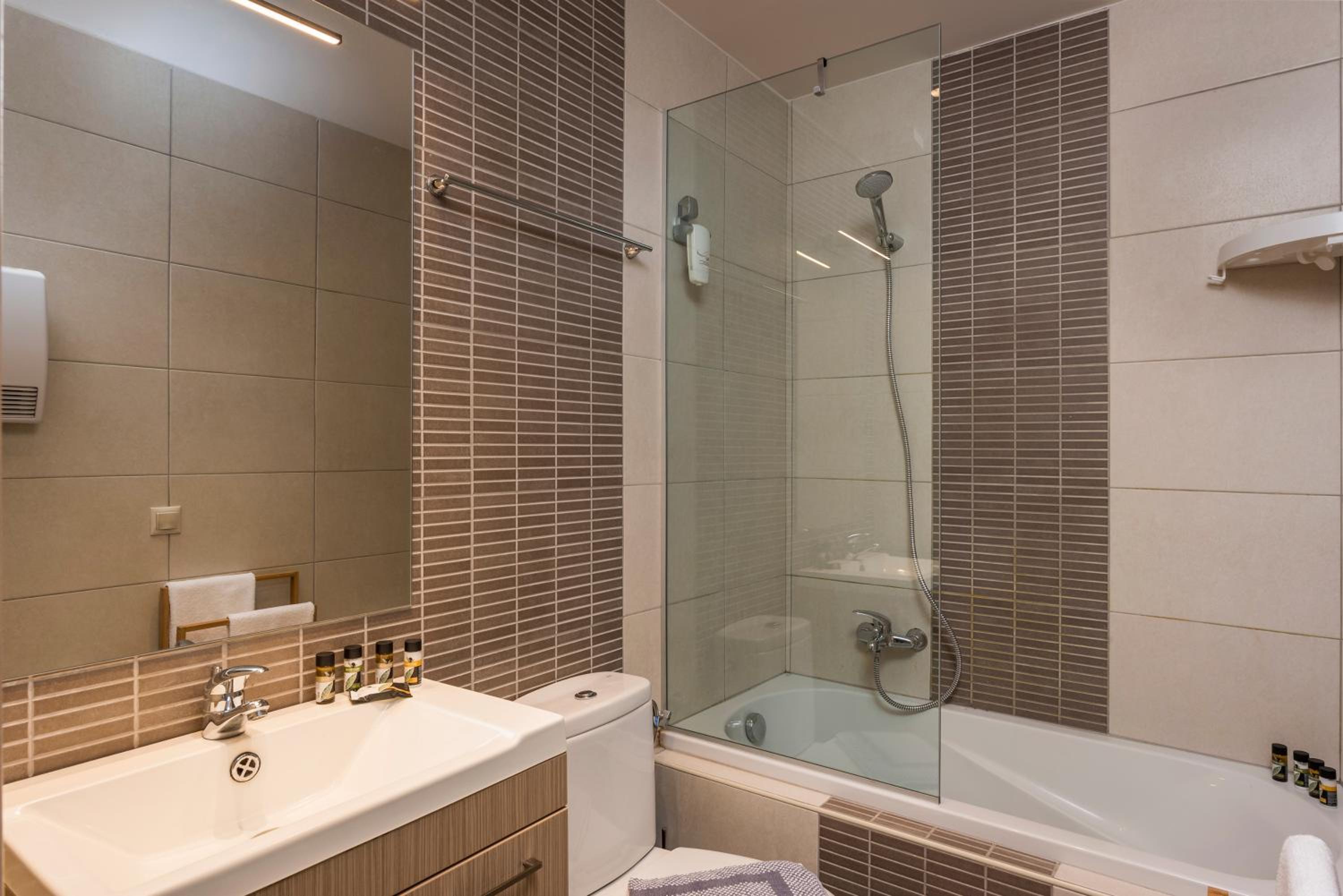 Standard One-Bedroom Apartment photo 3