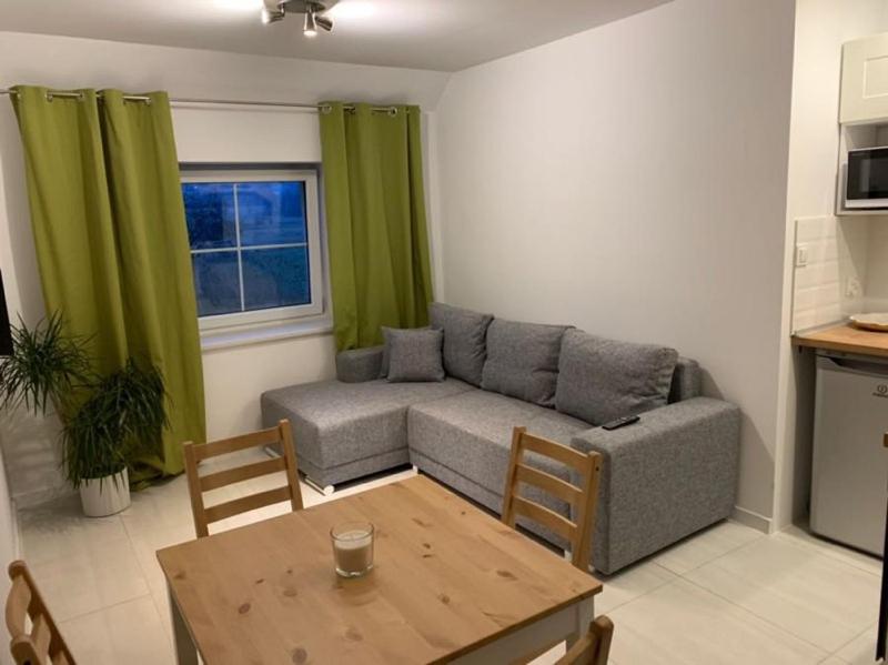 Standard Apartment - Photo 8