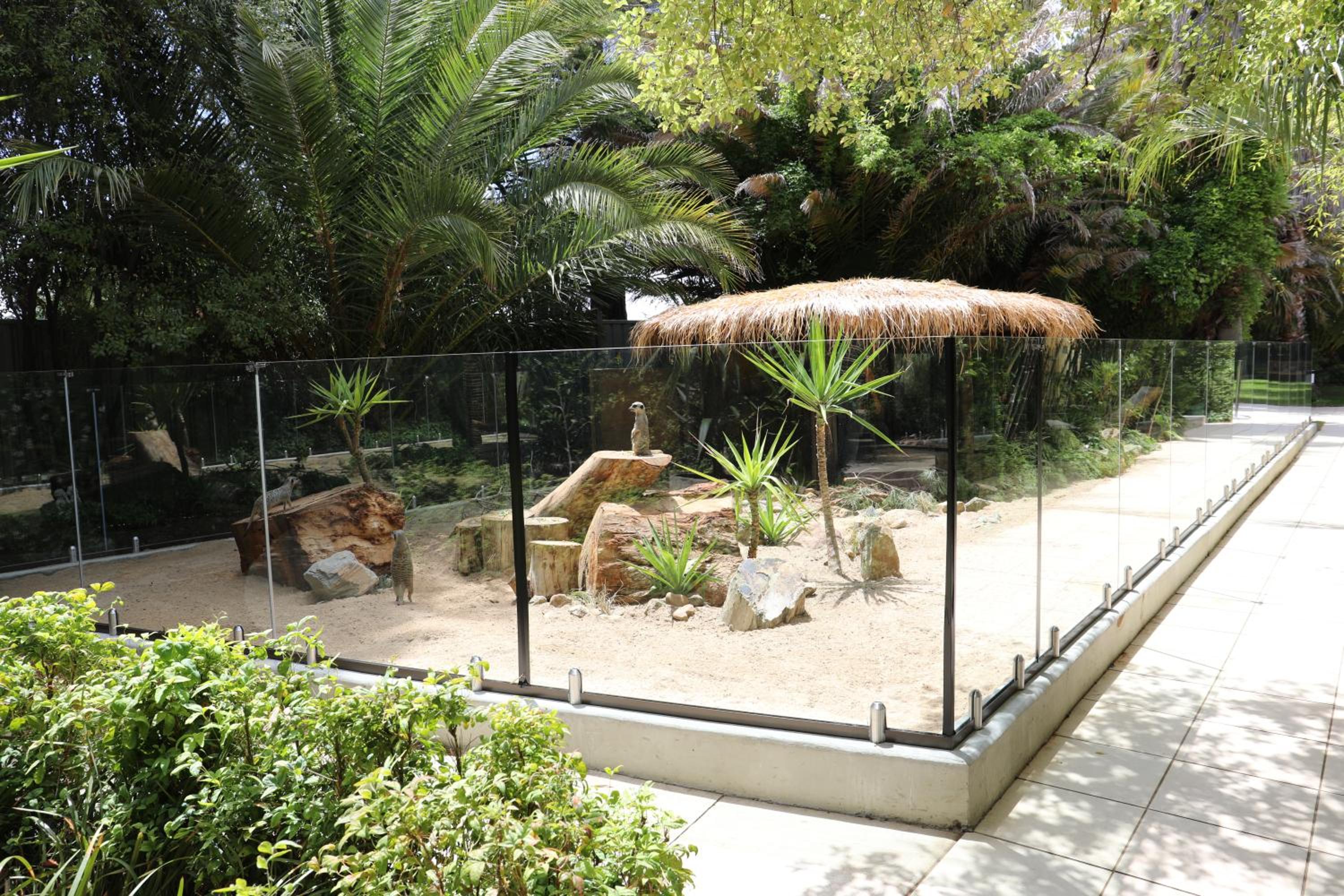 Meerkat Room photo 3