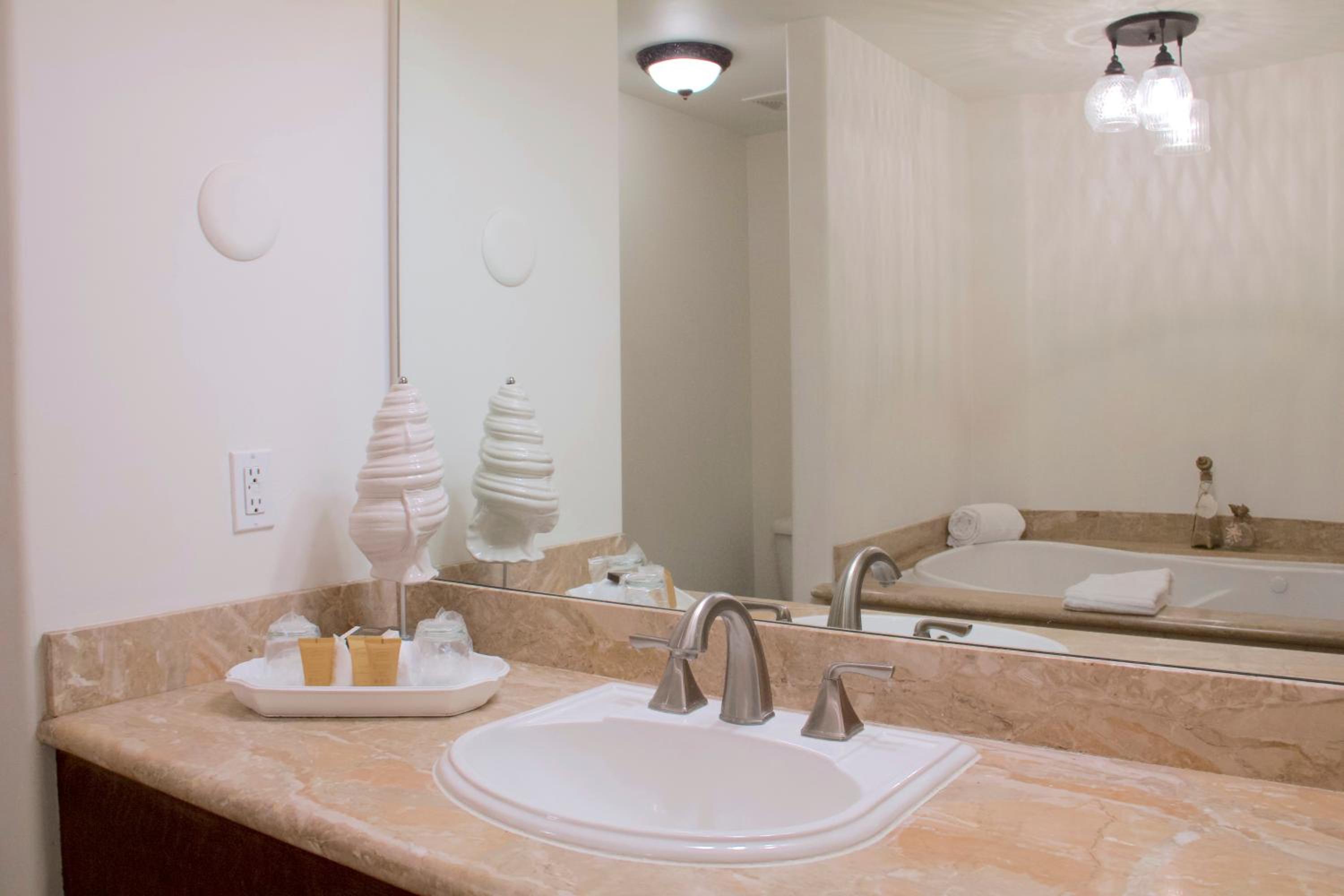 One-Bedroom Suite - Photo 11