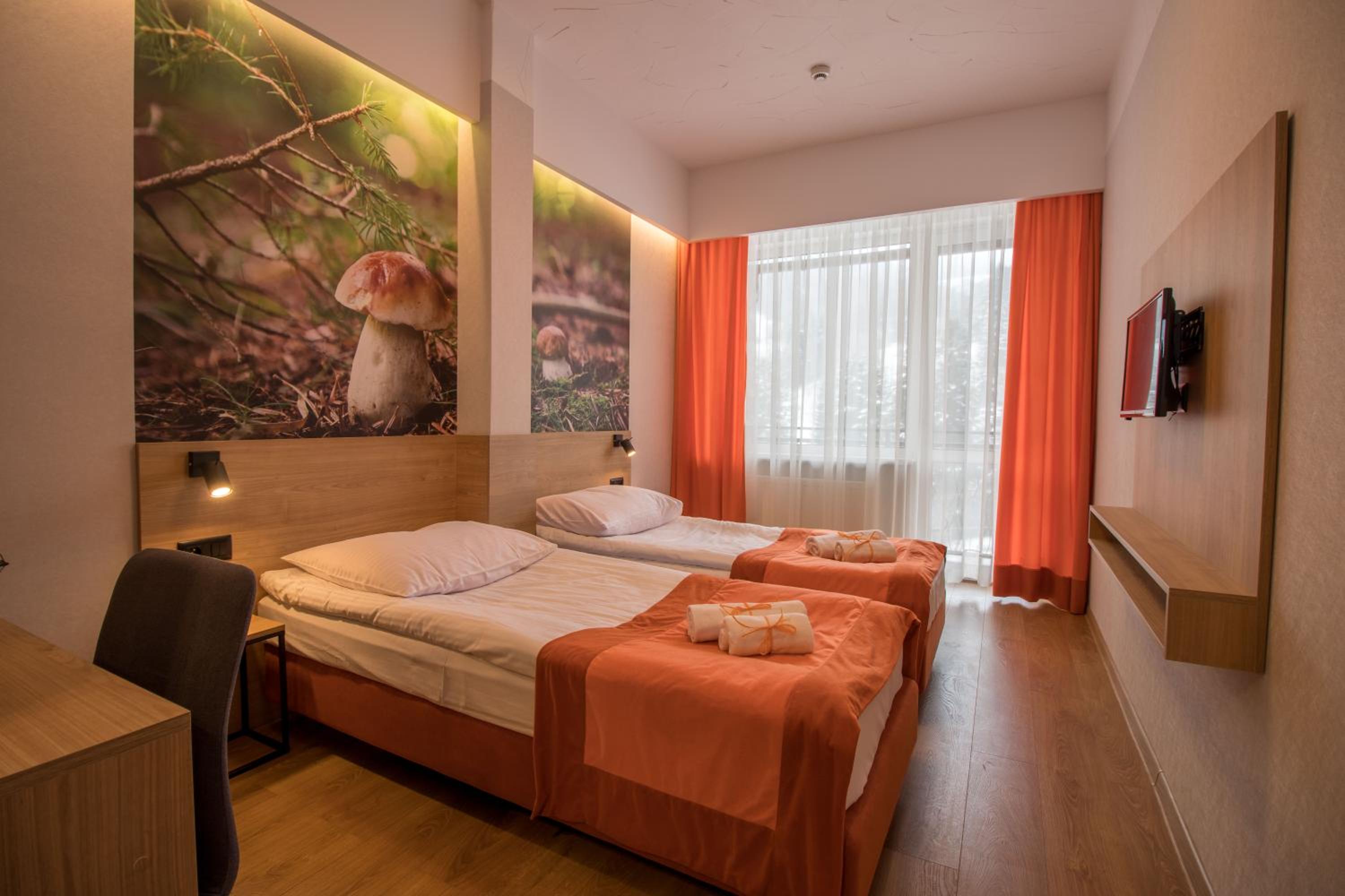 Twin Room with Mountain View photo 1