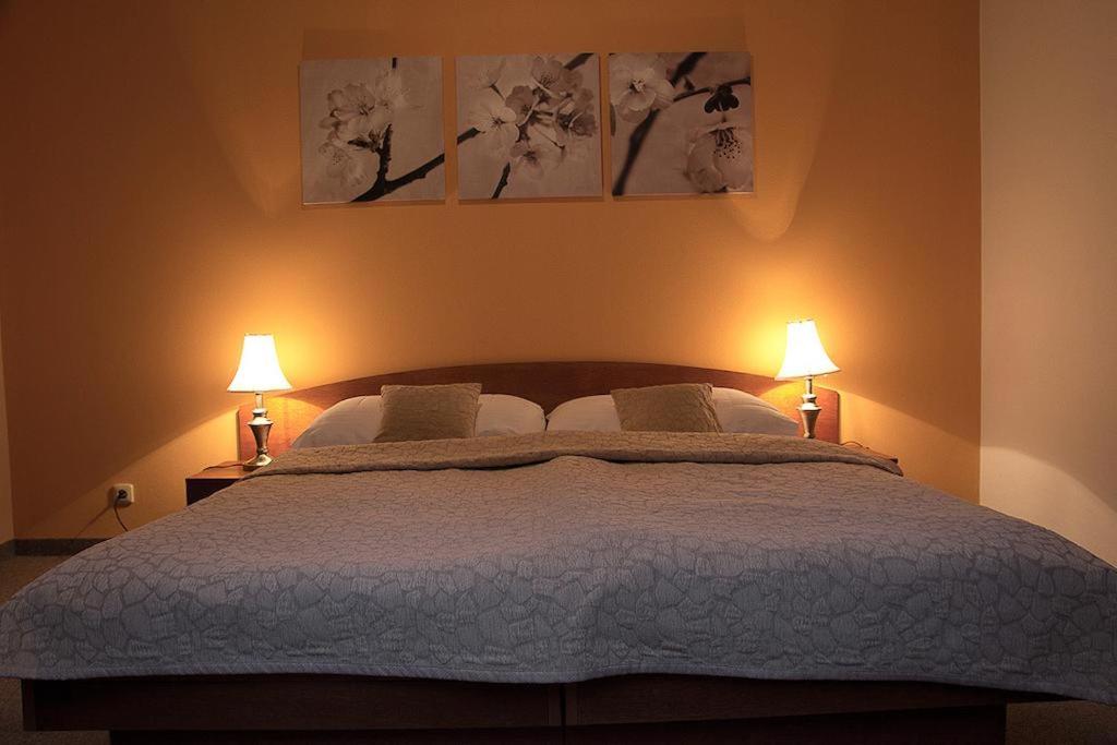 Suite - Photo 5