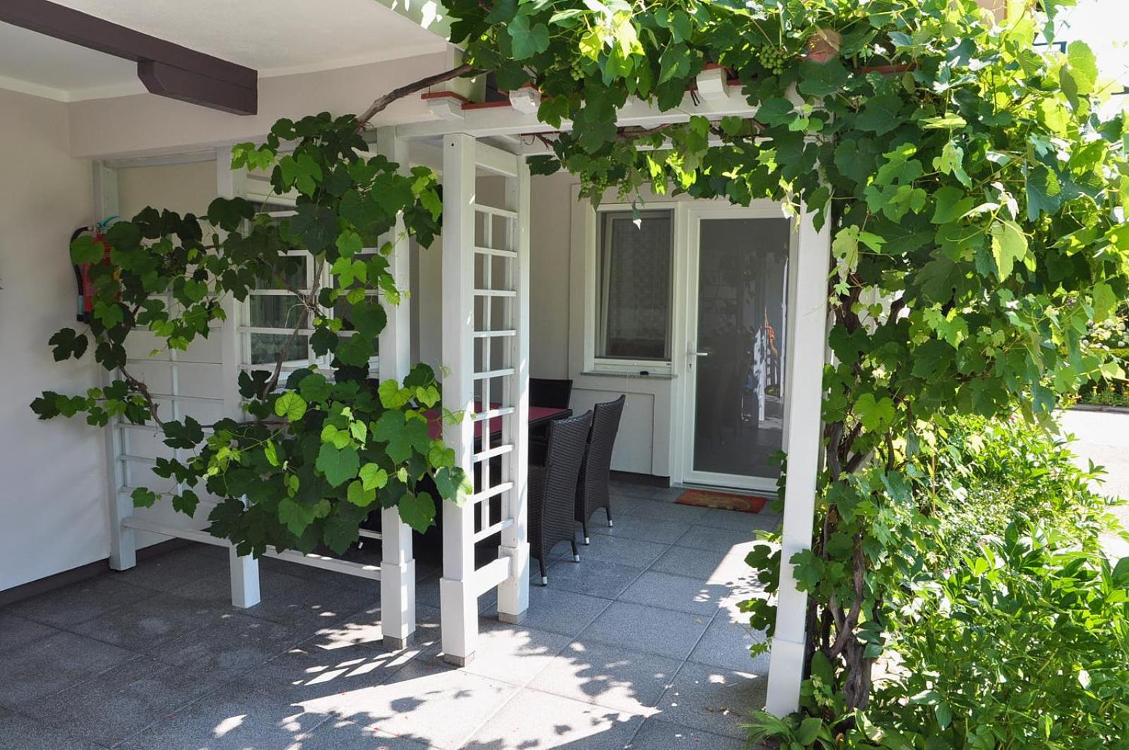 Apartment with Terrace photo 3