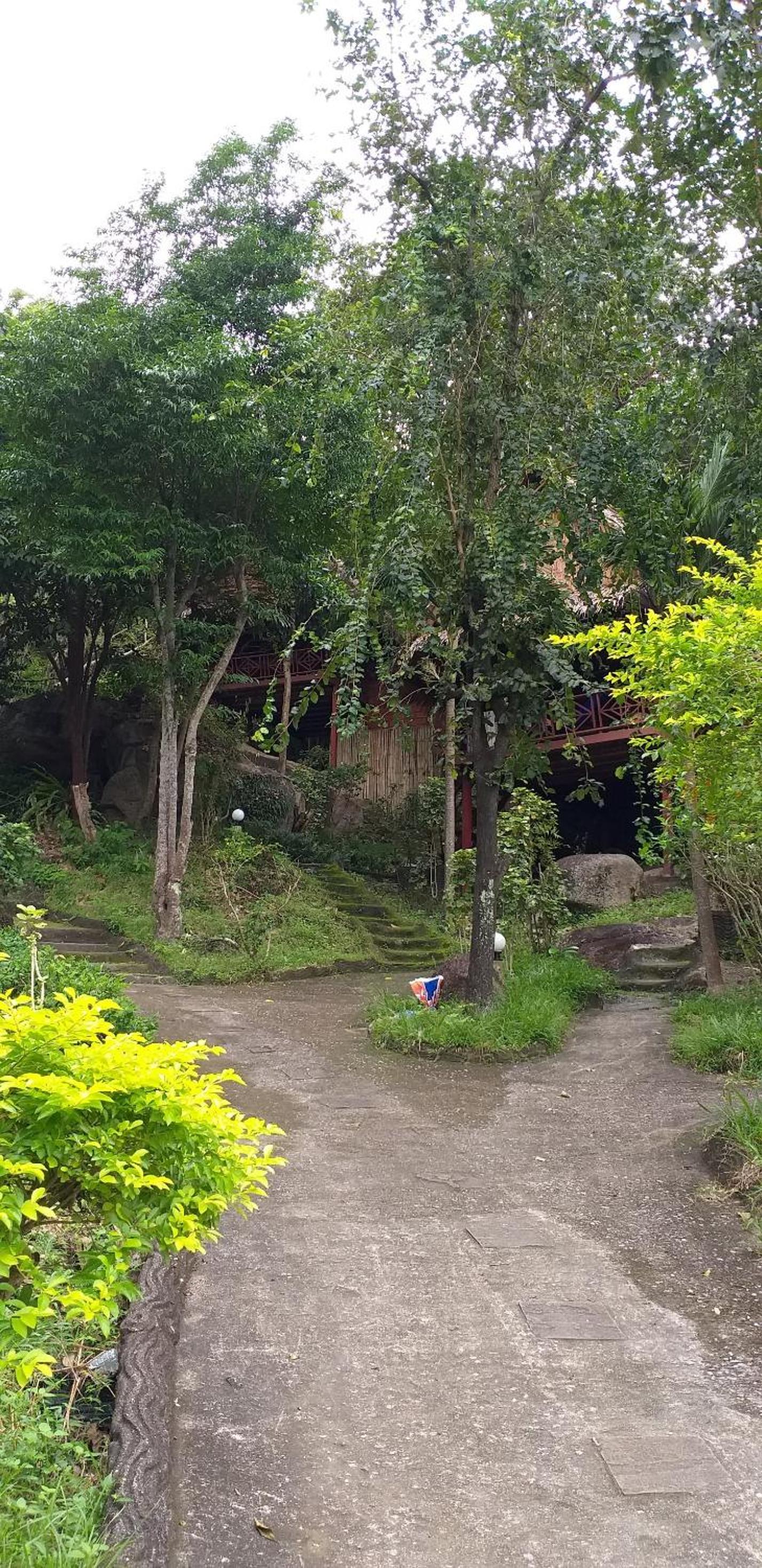 Hillside Standard Bungalow 4 Pax photo 2