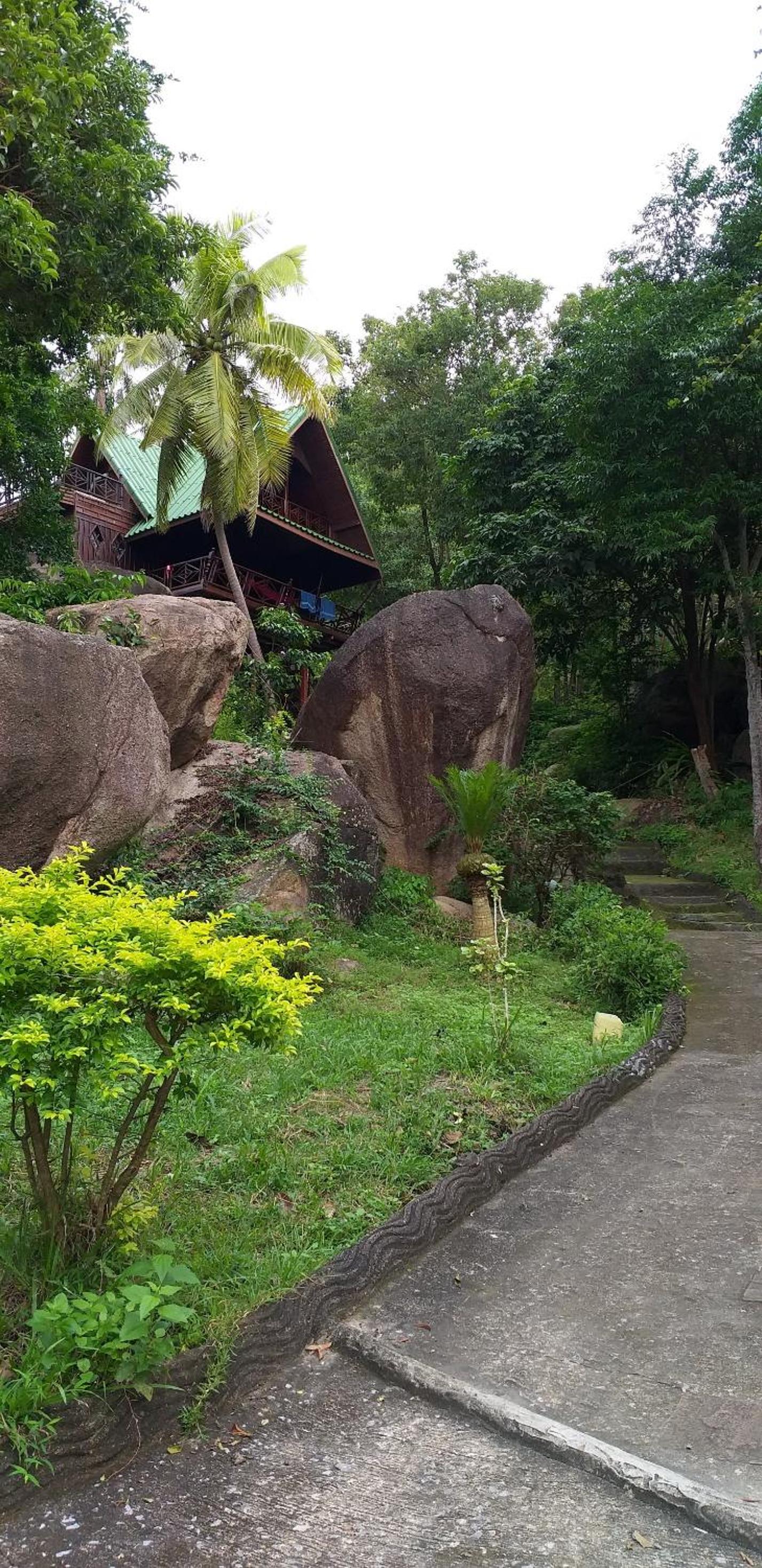 Deluxe Bungalow with Ocean View photo 3