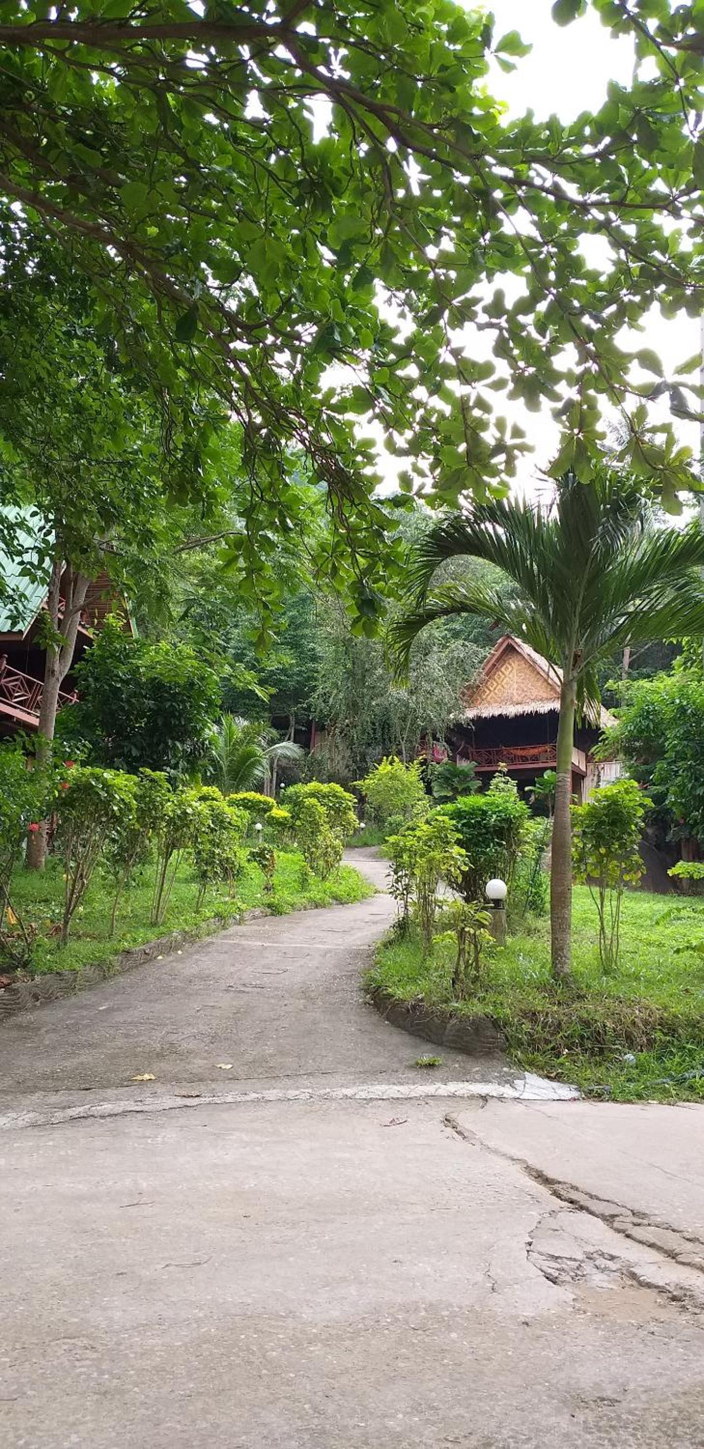 Deluxe Bungalow photo 3