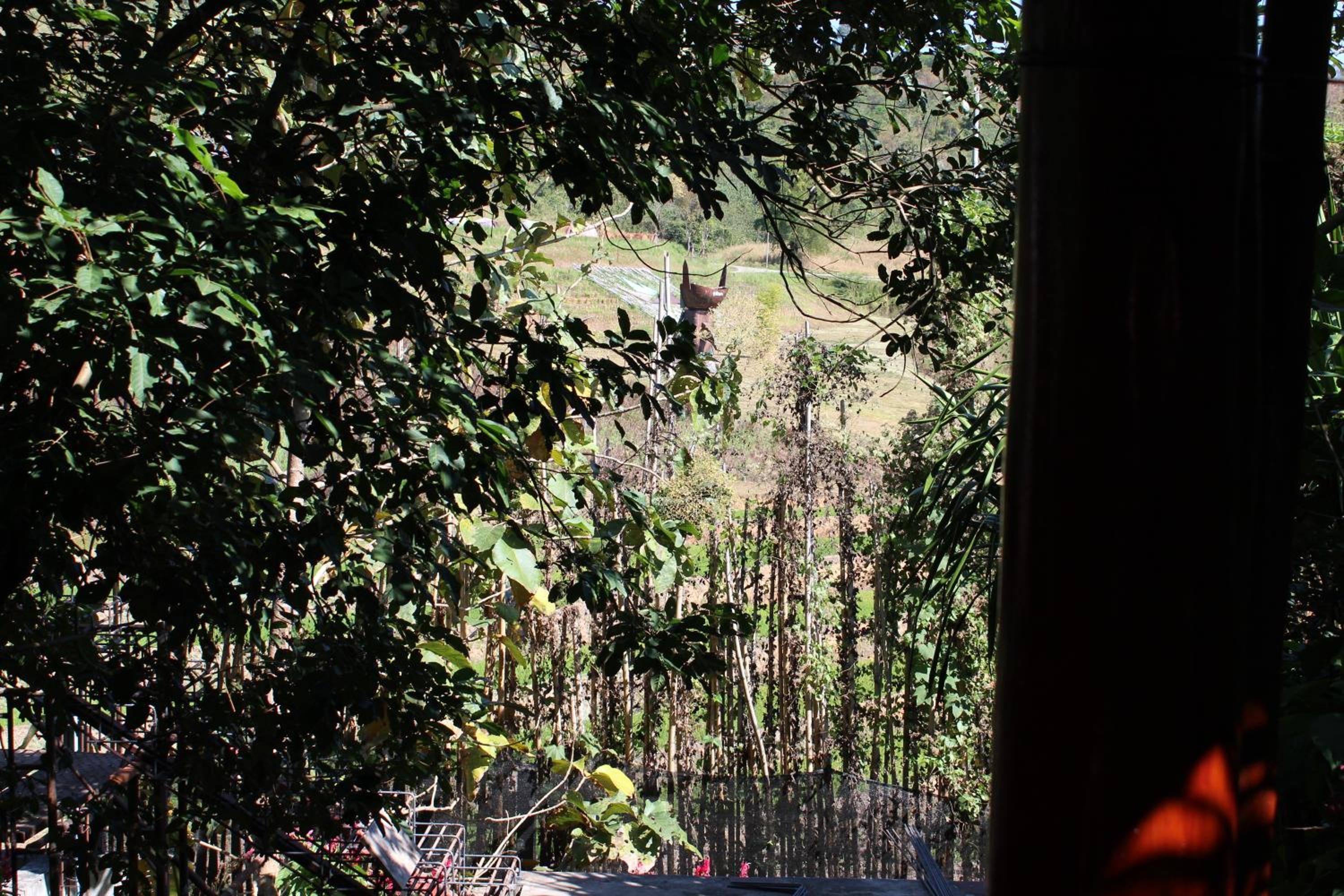 Bungalow photo 3