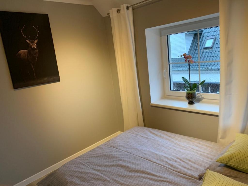 Standard Apartment - Photo 2