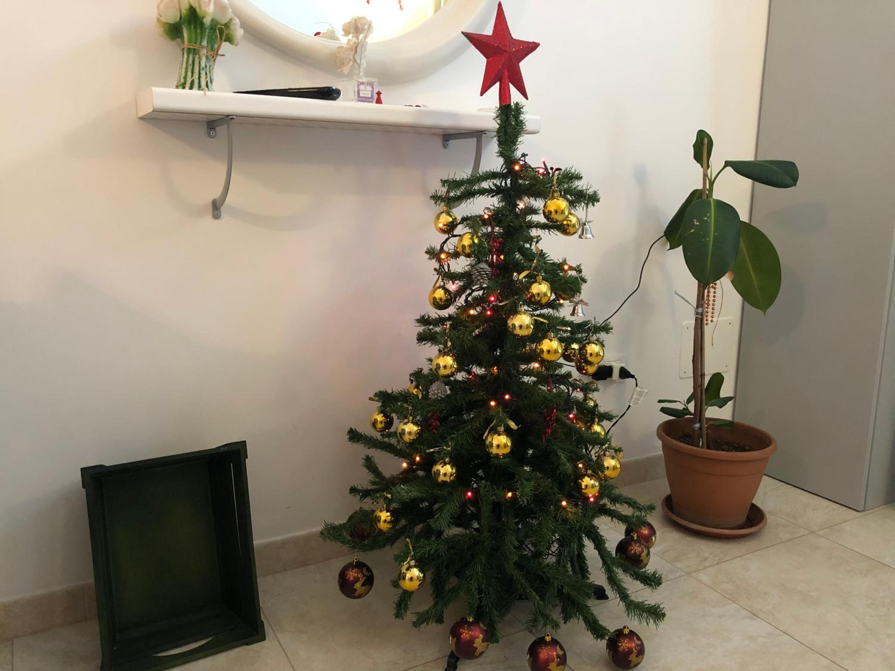 Apartment - Ground Floor - Photo 32