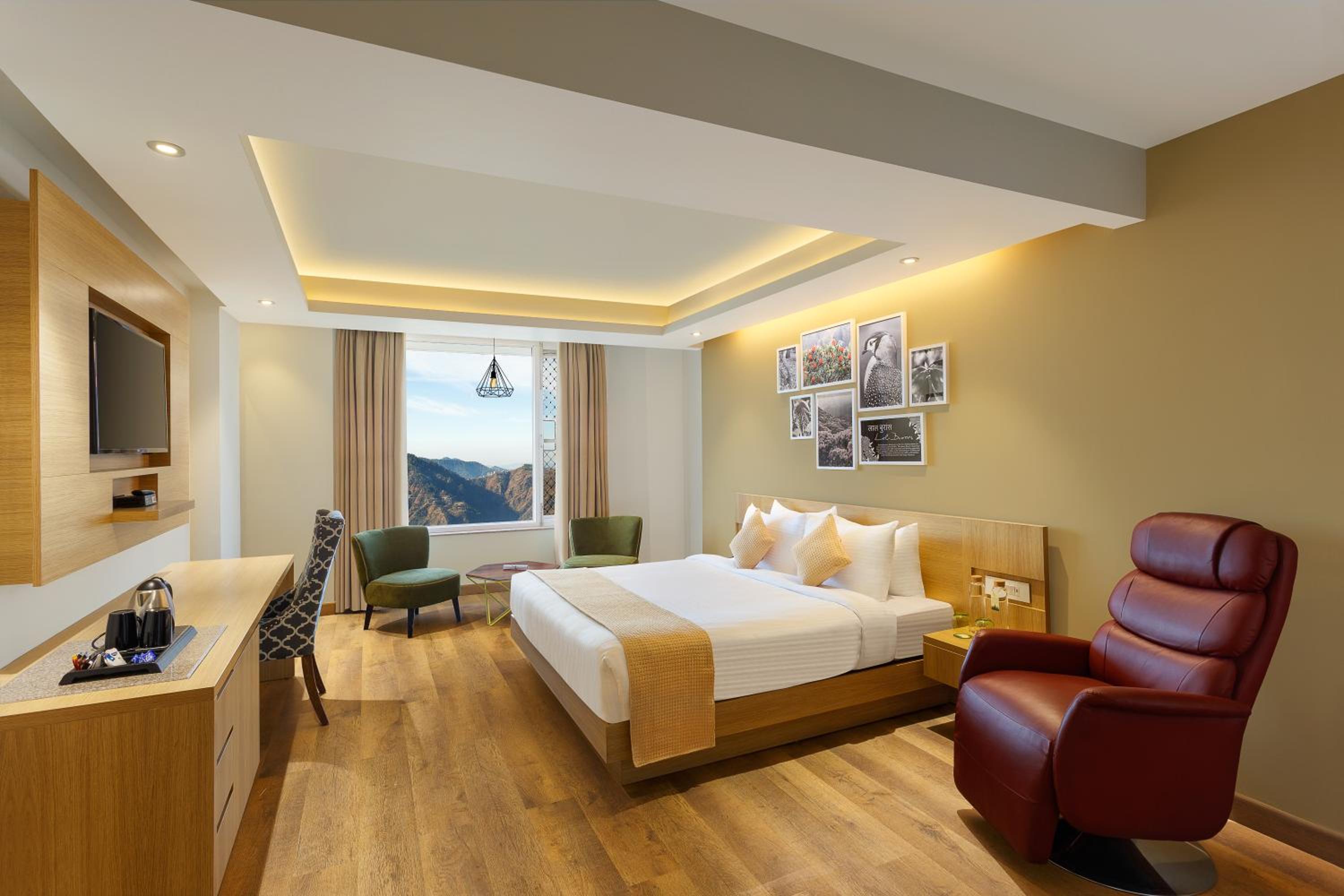 Premium  Room photo 2