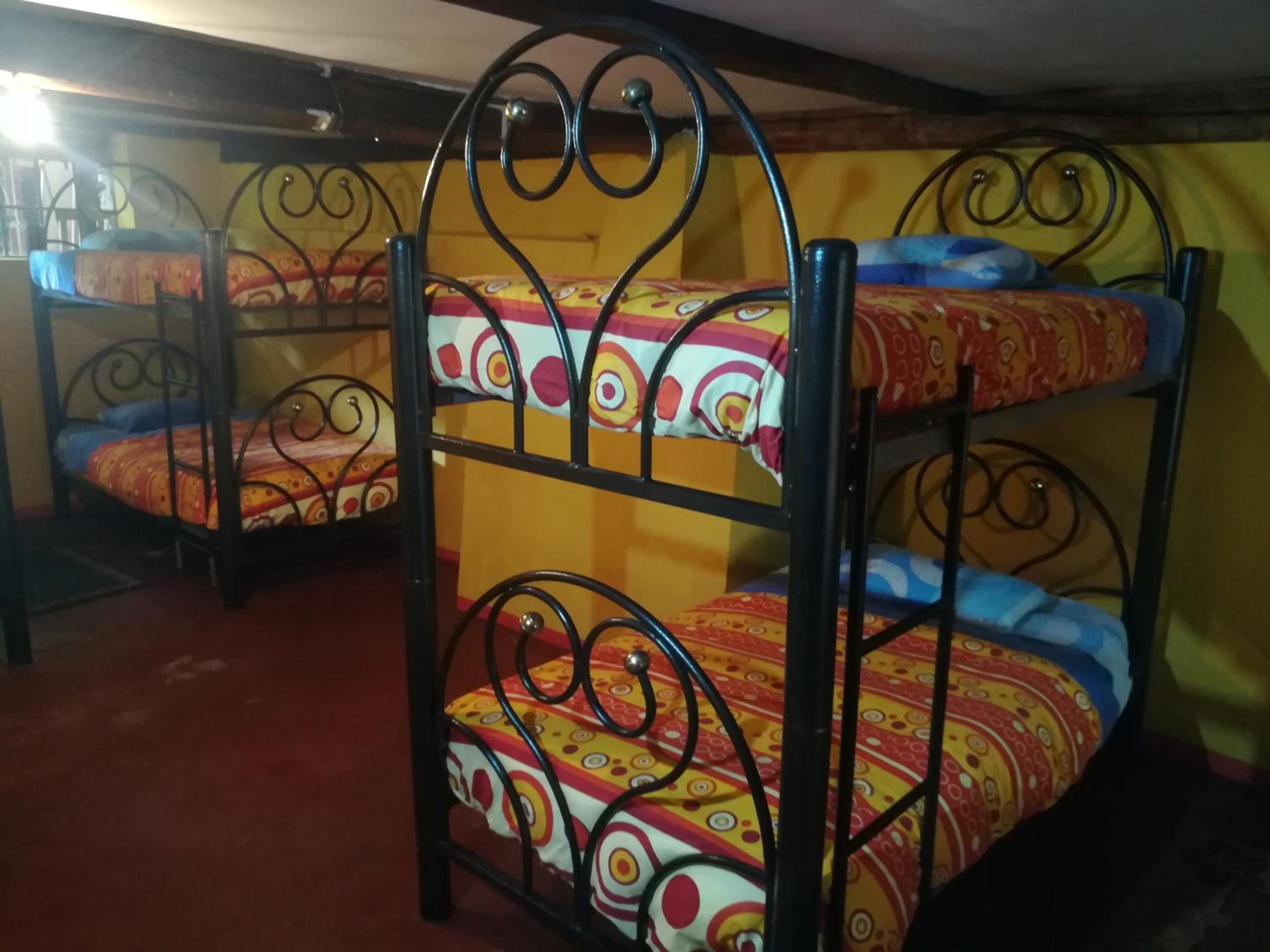 Bunk Bed in Mixed Dormitory Room photo 3