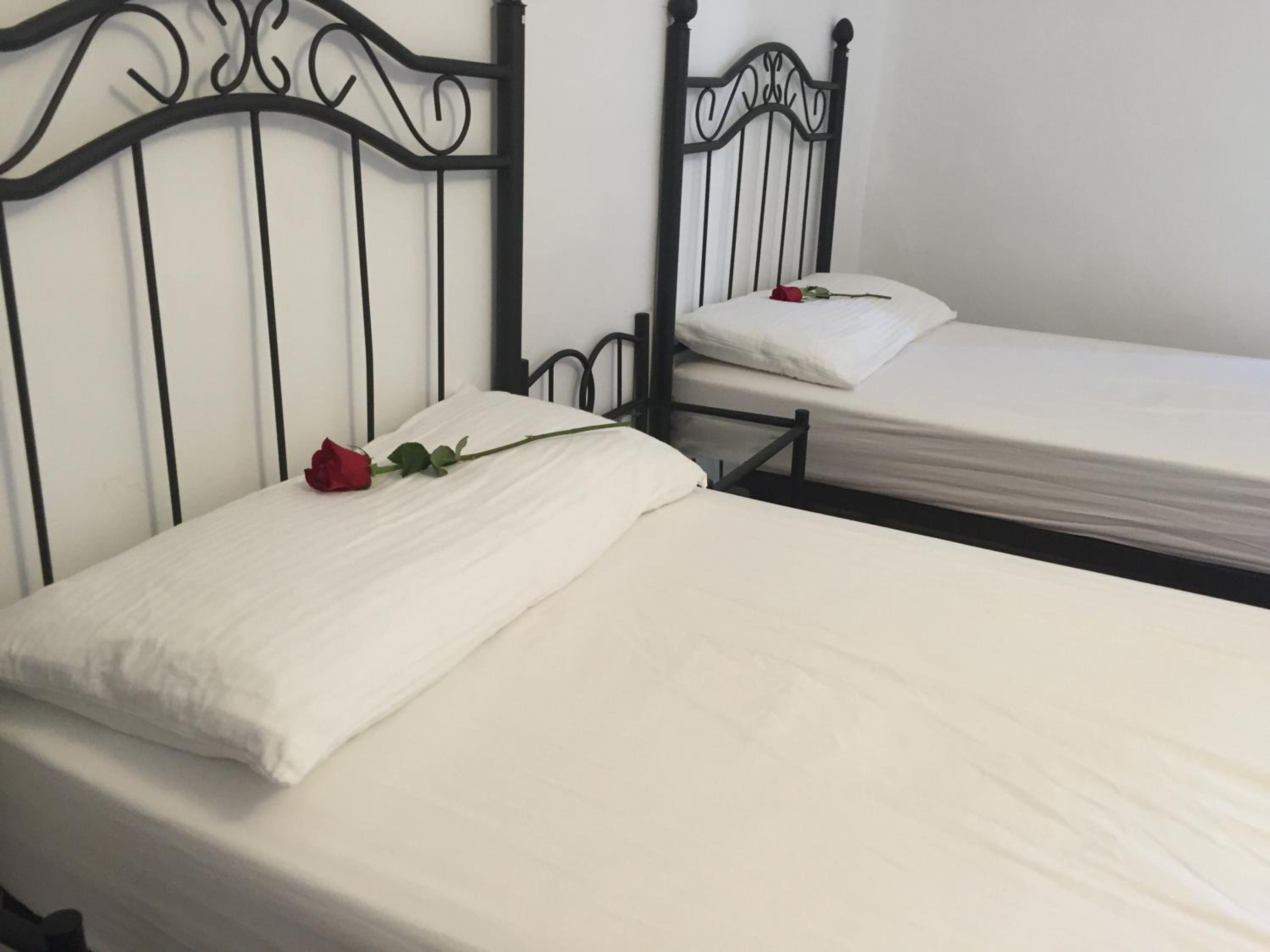 Single Bed in Mixed Dormitory Room photo 3