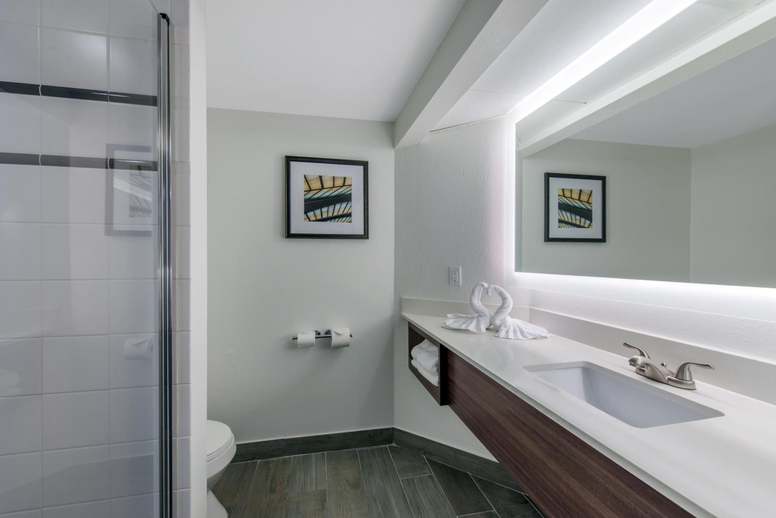 King Room with Roll-In Shower - Disability Access - Photo 12