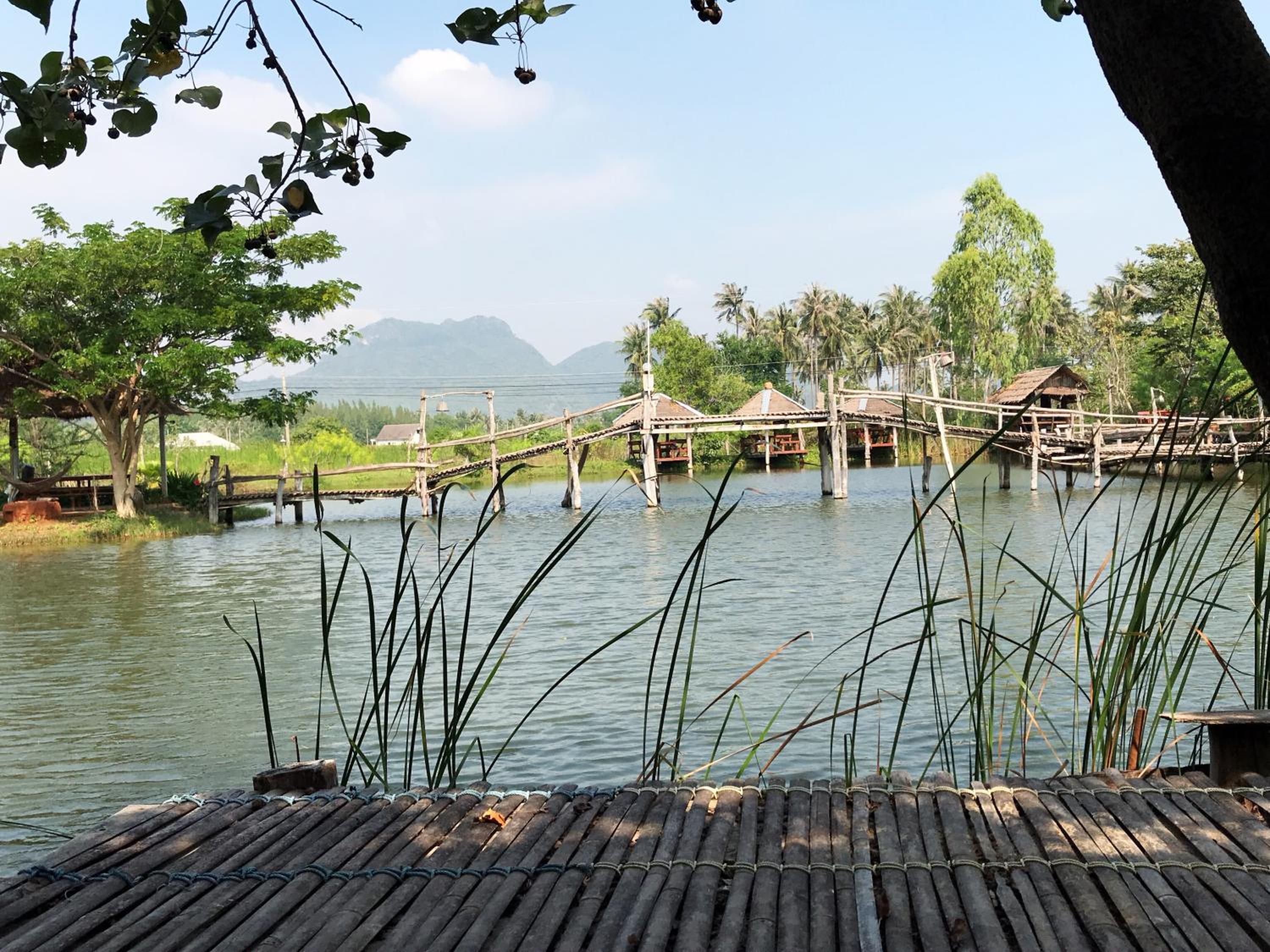 Bungalow - Water Front  photo 3