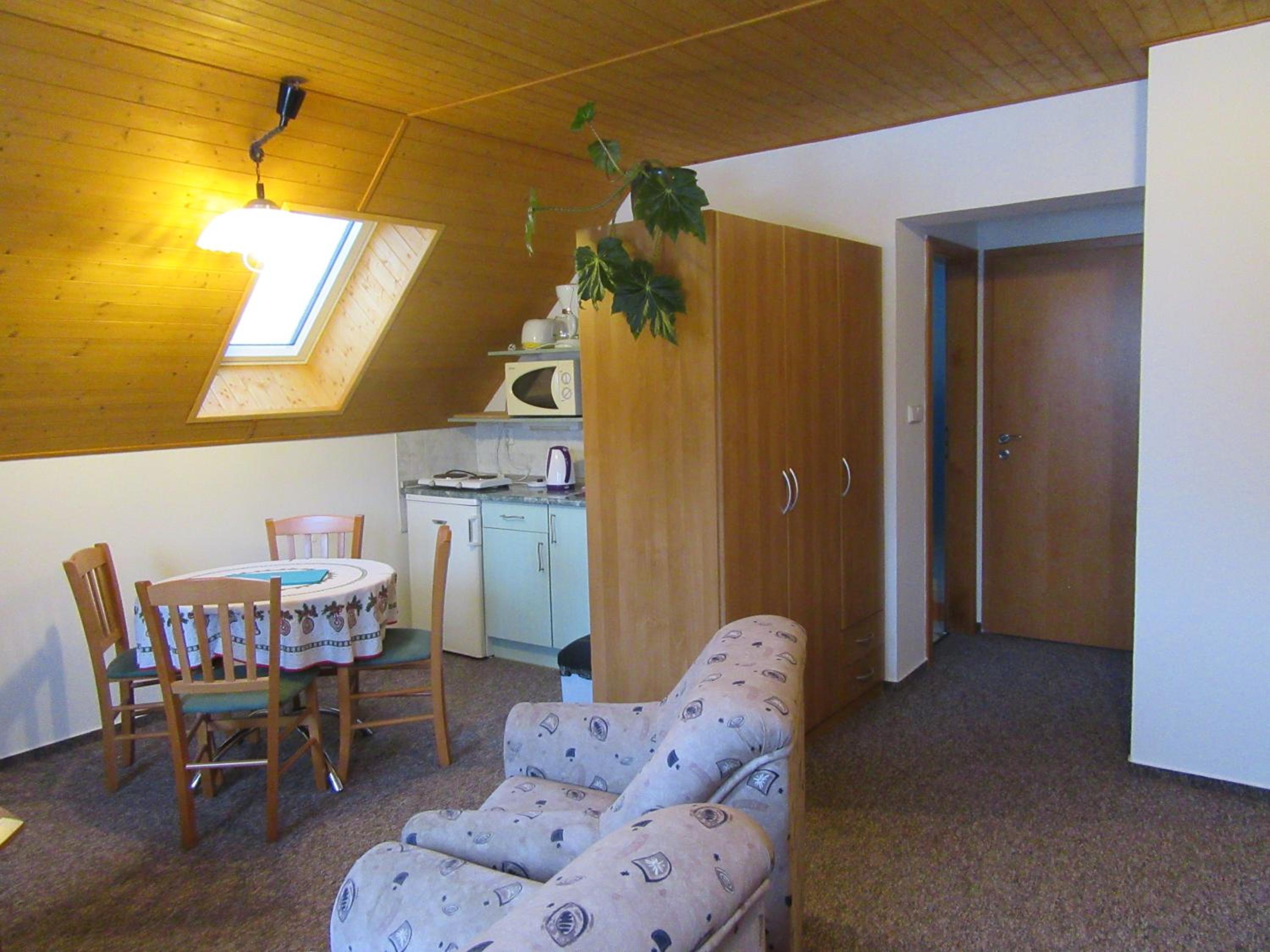 Studio Apartment with Mountain View photo 1
