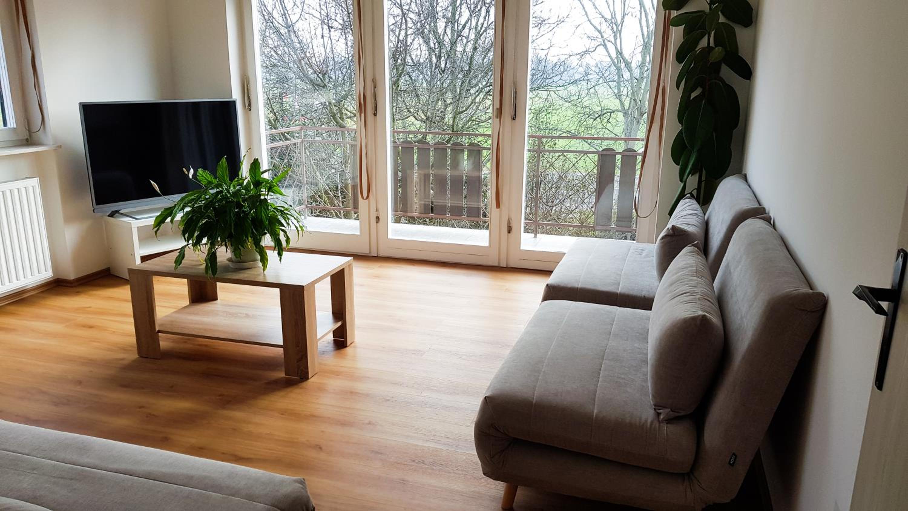 Apartment with Balcony - First Floor - Photo 3