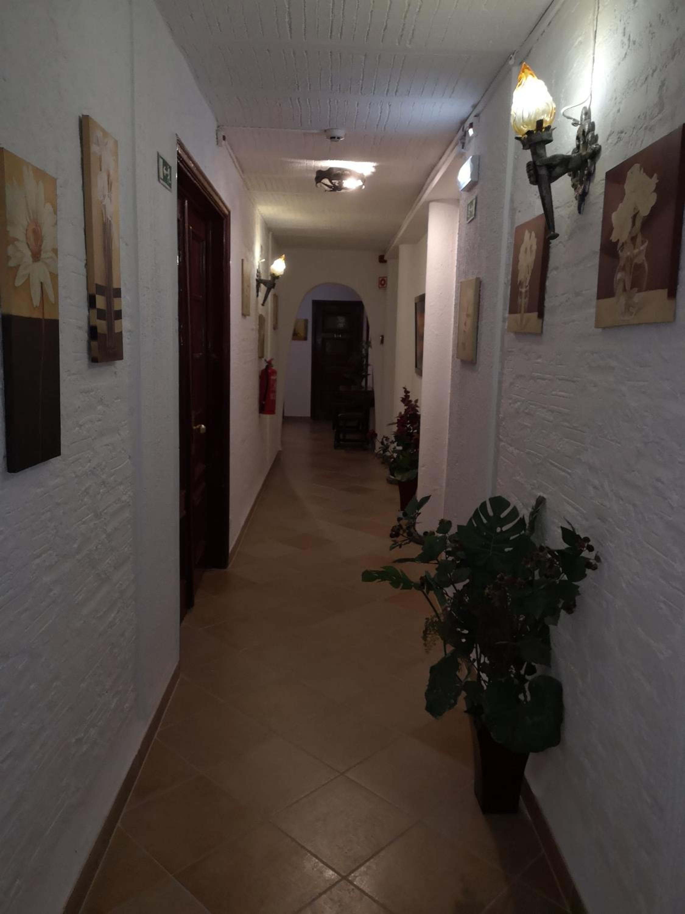Twin Room - Photo 15