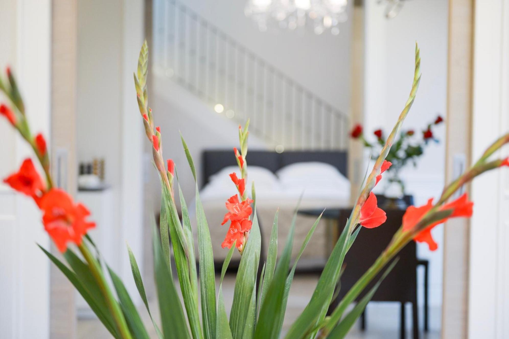 Suite With Terrace photo 1