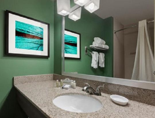 Deluxe King Studio Suite - Non-Smoking - Photo 2