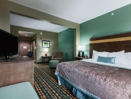 Deluxe King Studio Suite - Non-Smoking - Photo 1