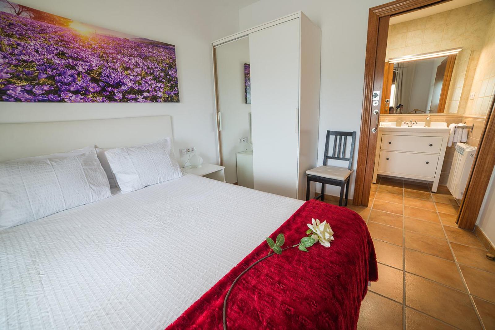 Apartamento con Terraza