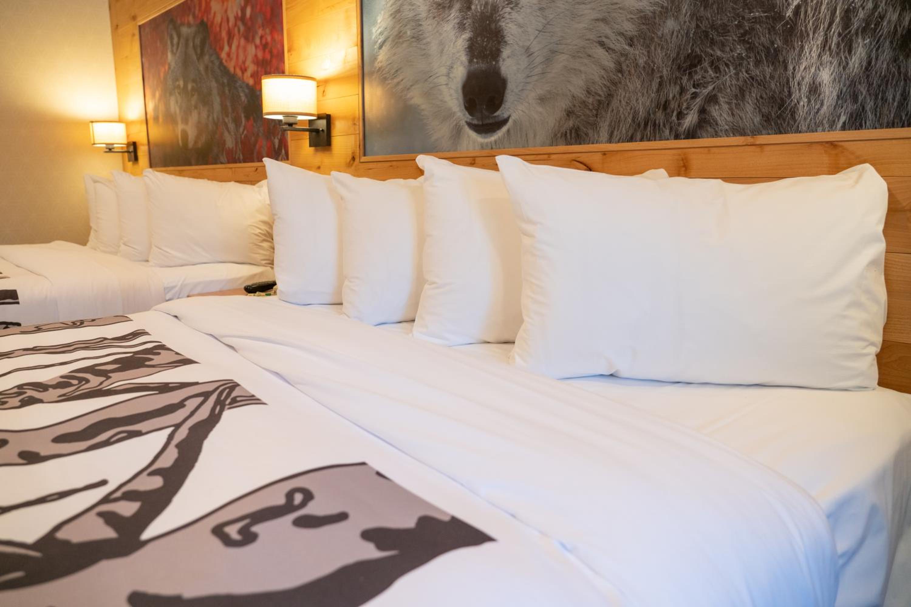 Junior Suite with Two Queen Beds - Photo 4
