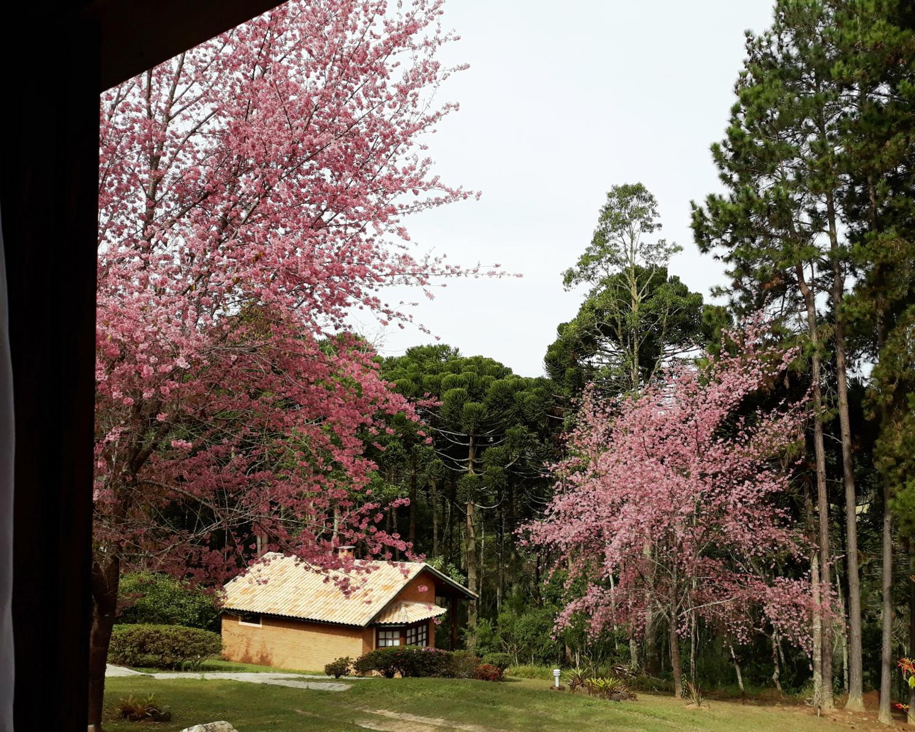 Standard Chalet - Photo 23