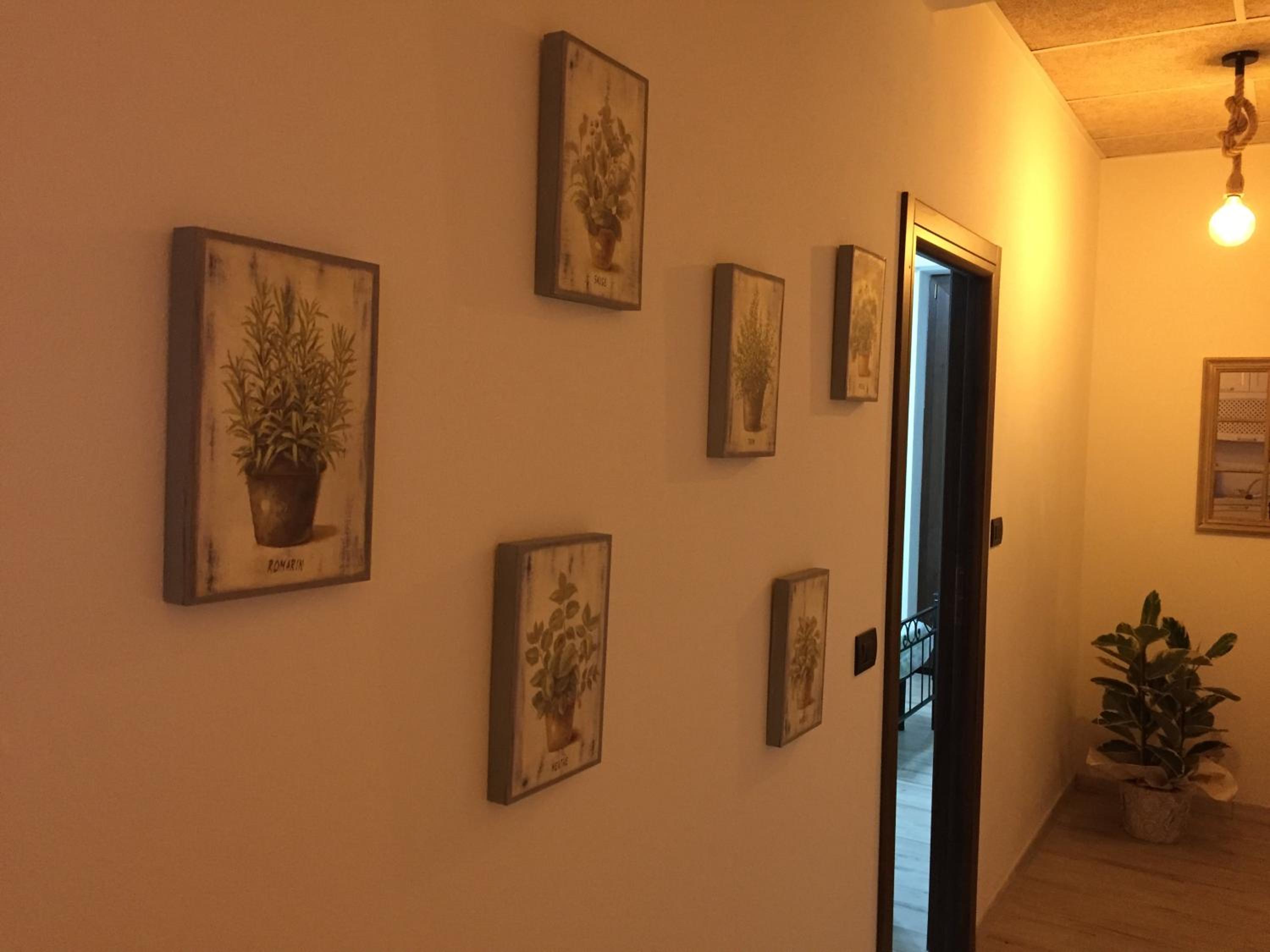 Dely B&B, Fotografia 14