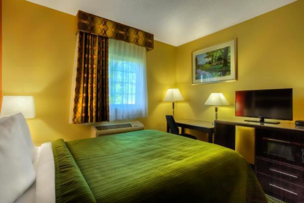 Queen Room - Disability Access/Non-Smoking - Photo 3