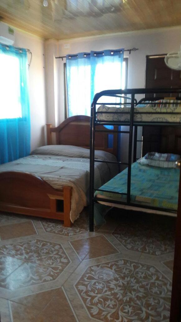 Bunk Bed In Mixed Dormitory Room photo 2