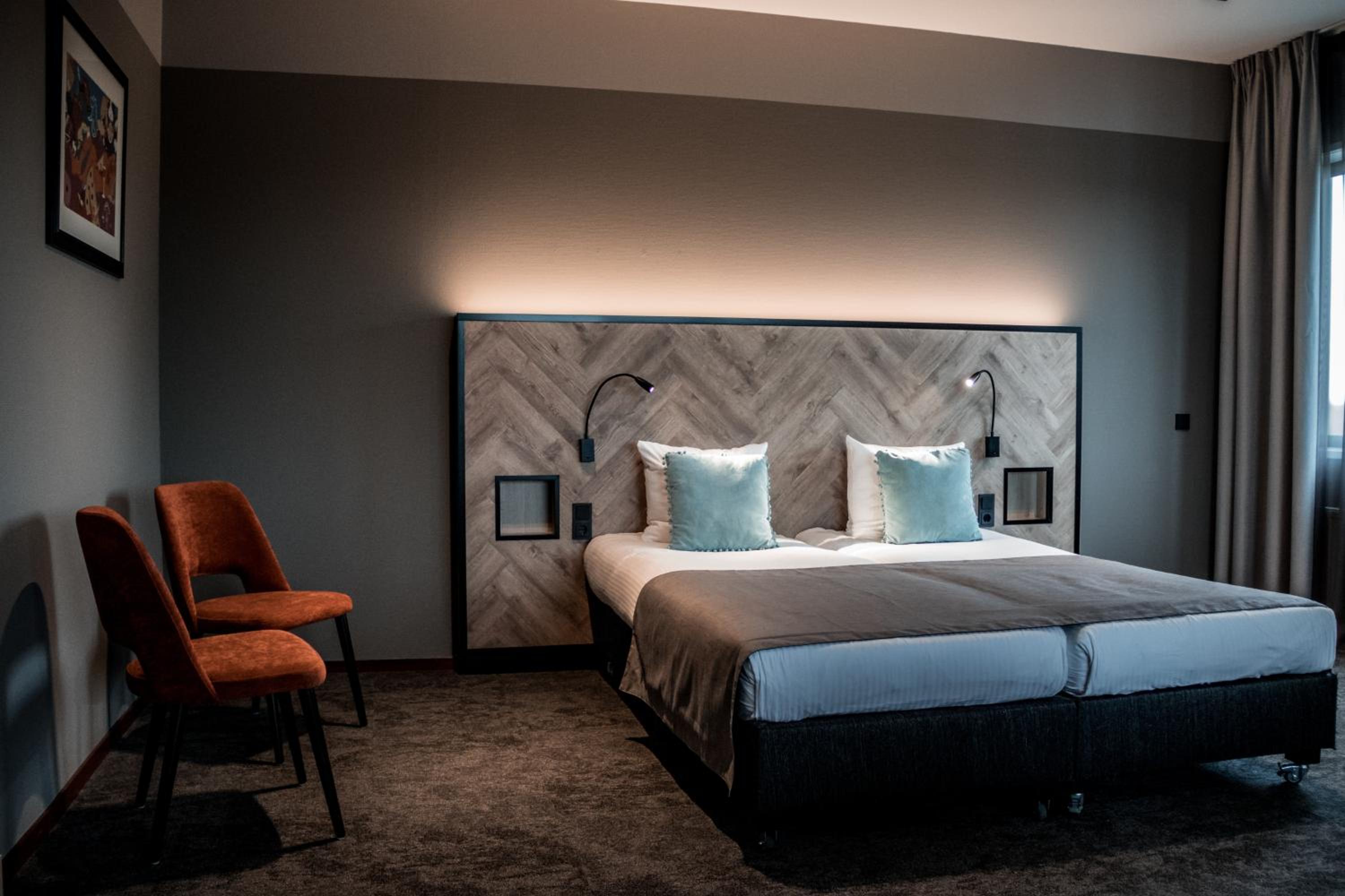 Suite - Photo 1