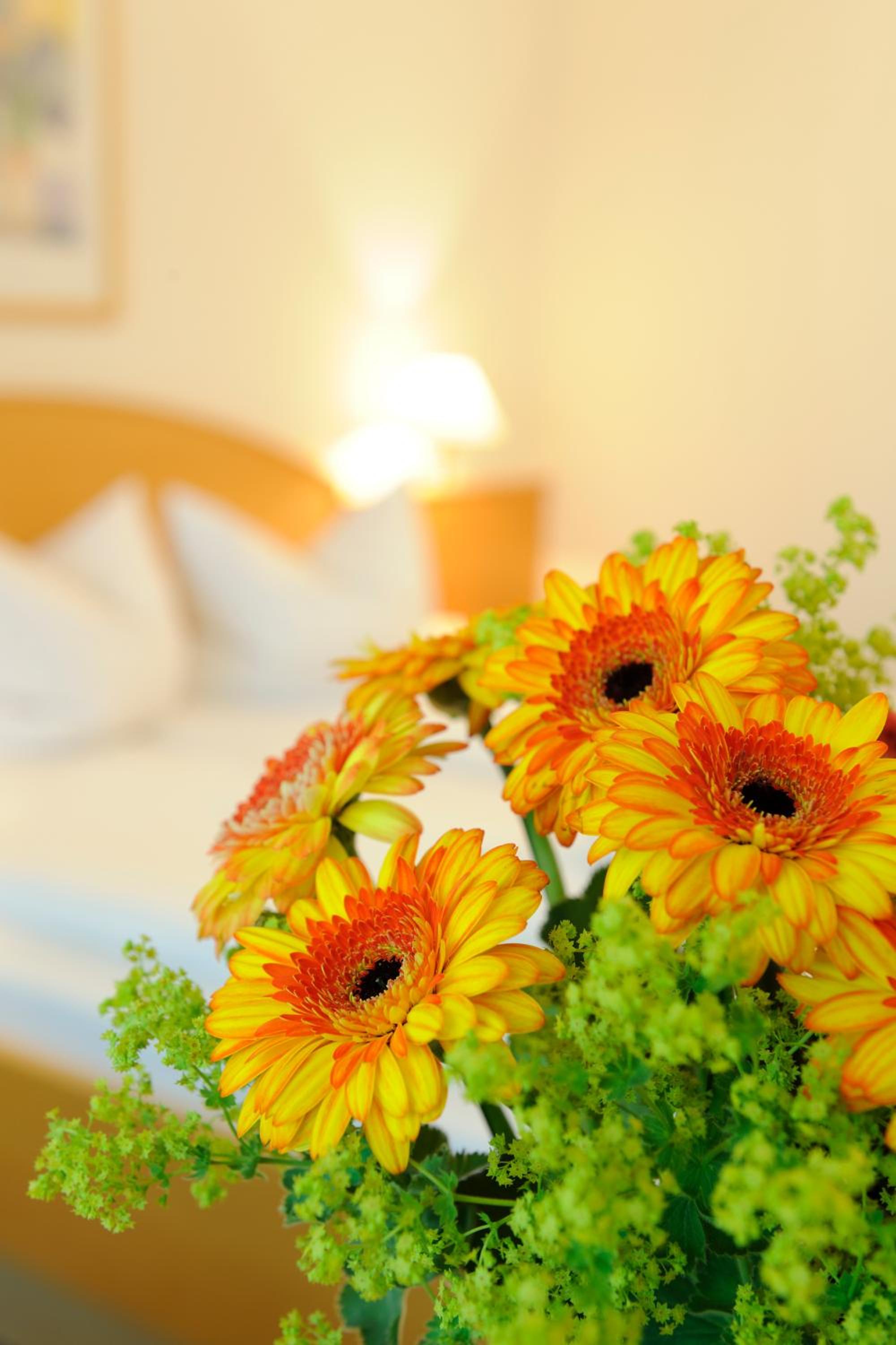 Comfort Double Room photo 3