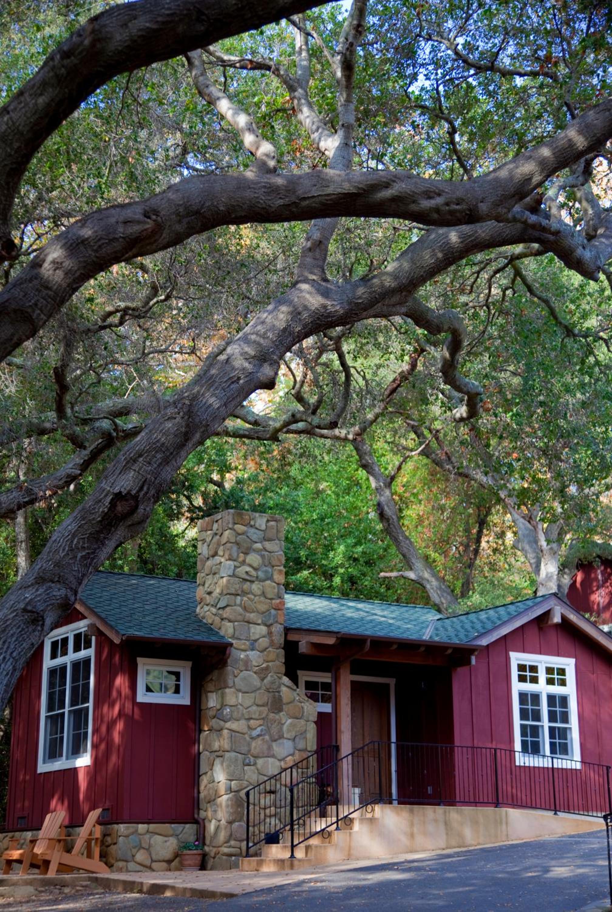 Creekside Cottage photo 3