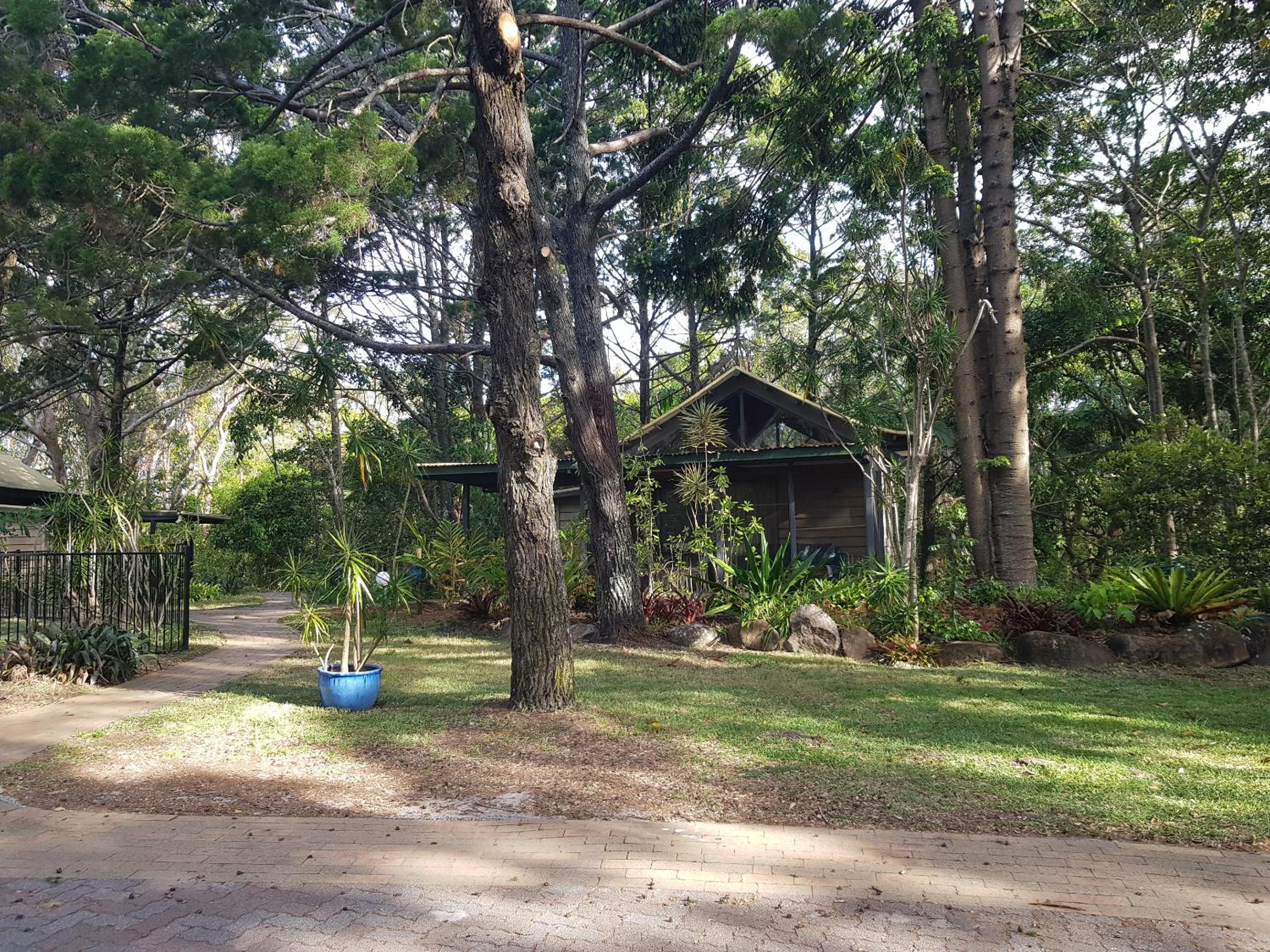 One Bedroom Cabin (Queen & Single Bed) photo 3