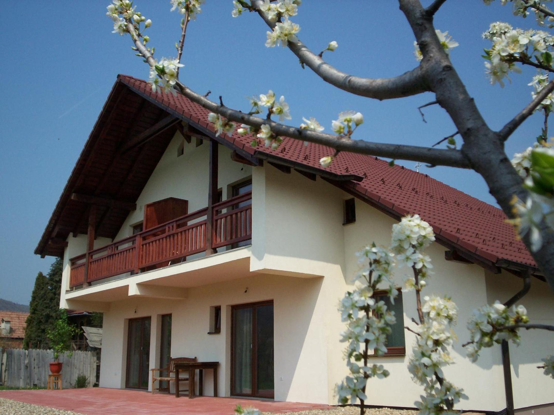 Deluxe Villa photo 3