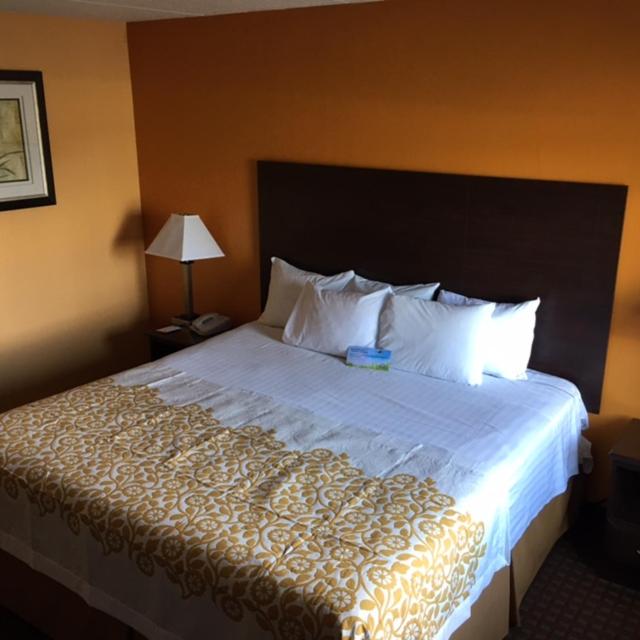 King Room - Non-Smoking - Photo 13
