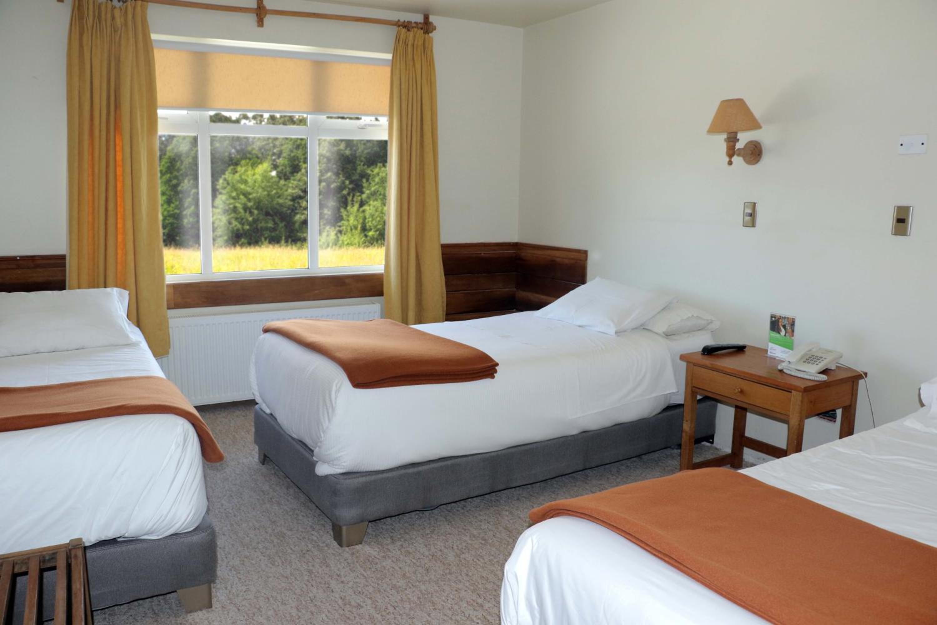 Triple Room - Photo 1
